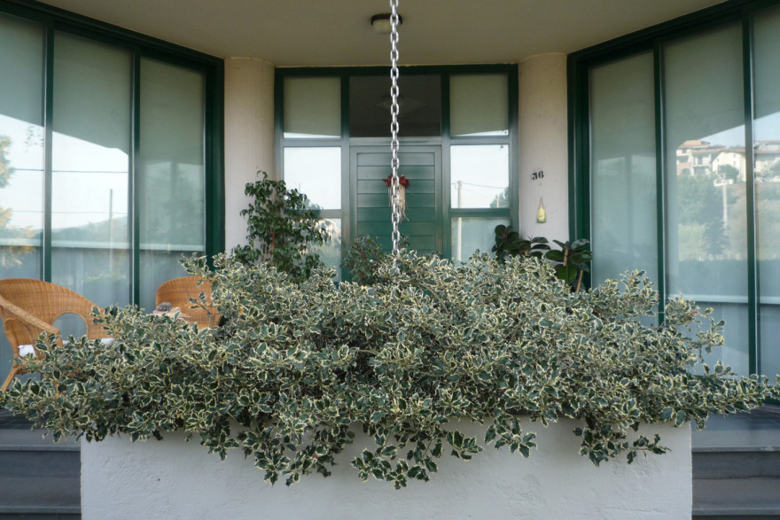 阳光与绿意共生 | 家庭住宅设计案例-13