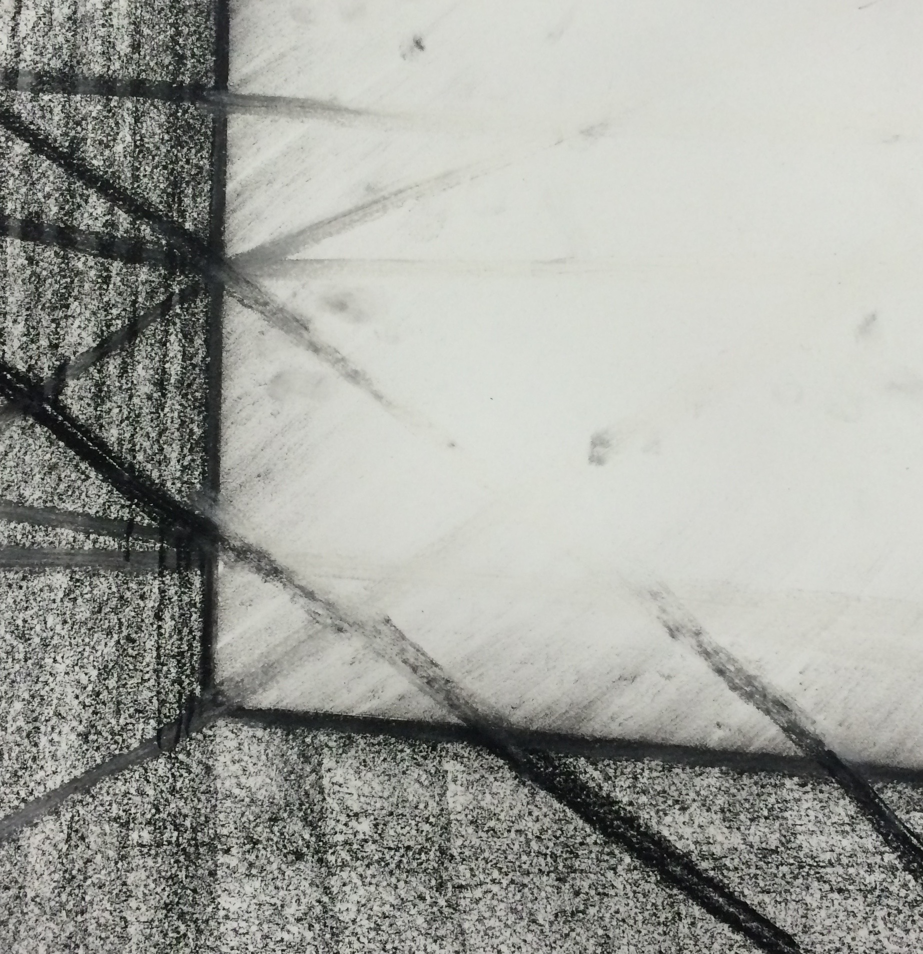 Site Ecology Studio Spring 2015-11