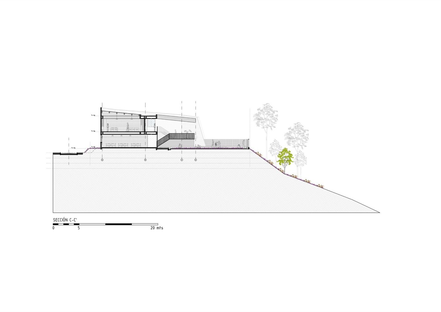 查帕拉尔乡村学校-61