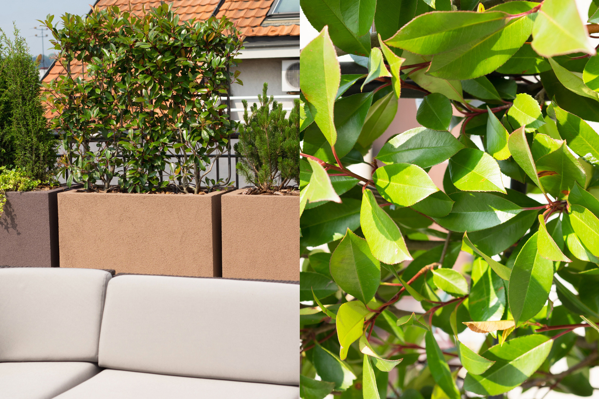 Belgrade 城市中心景观屋顶露台公寓-16