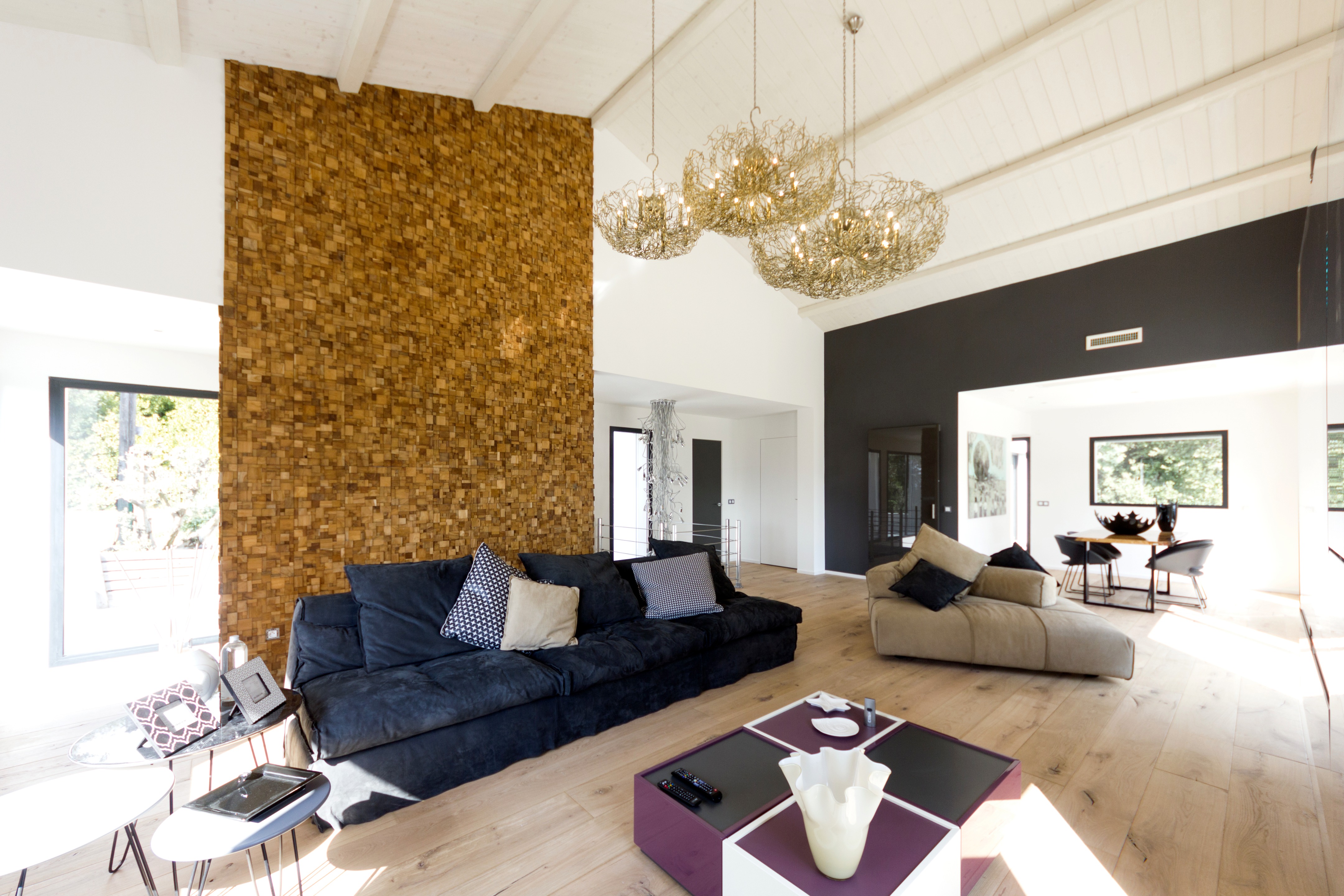 2017 年完成！Cannes 别墅重建项目-2