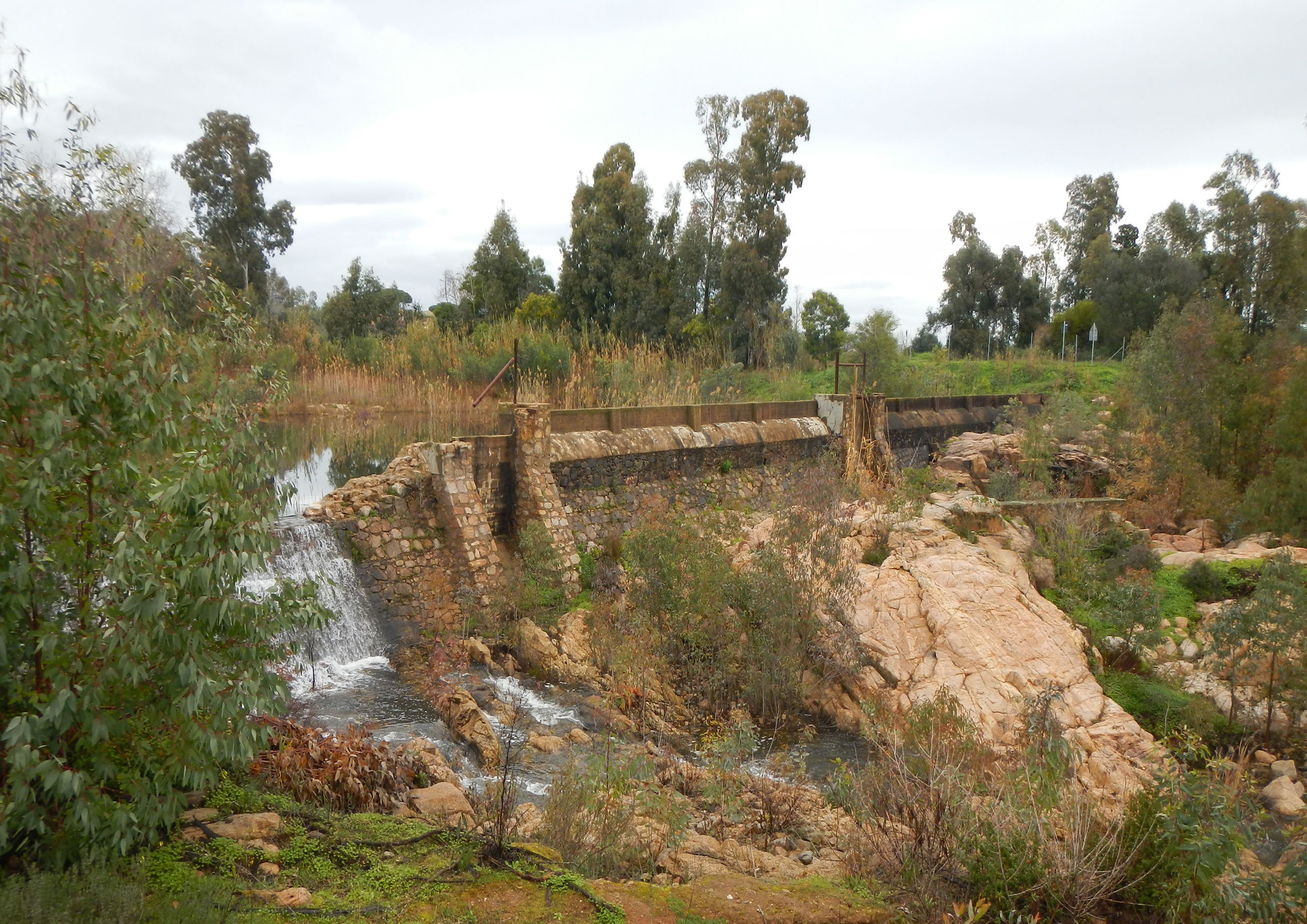 保护 Poggio dei Pini 大坝的景观规划-10