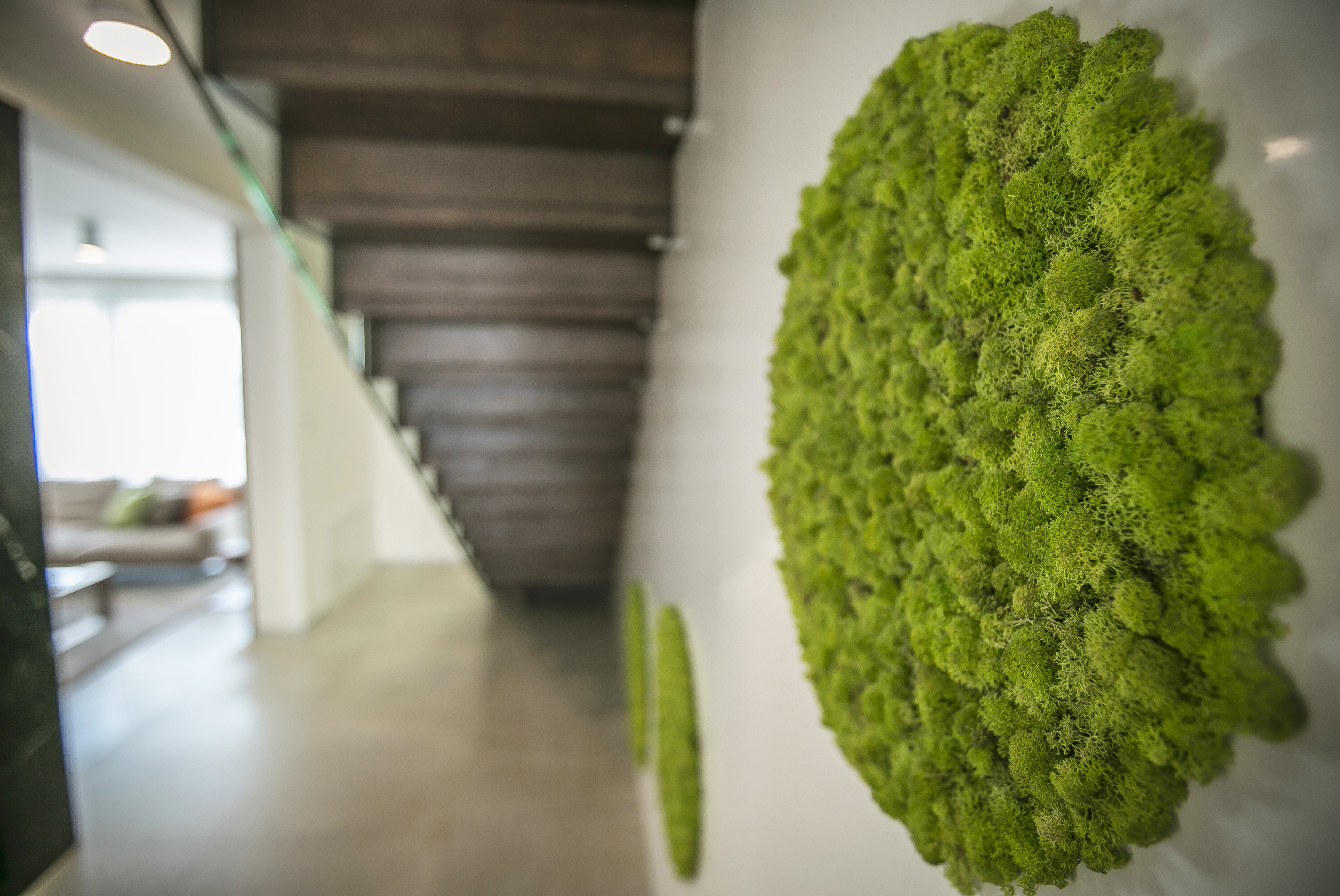 Tomčany 家庭住宅室内设计-7