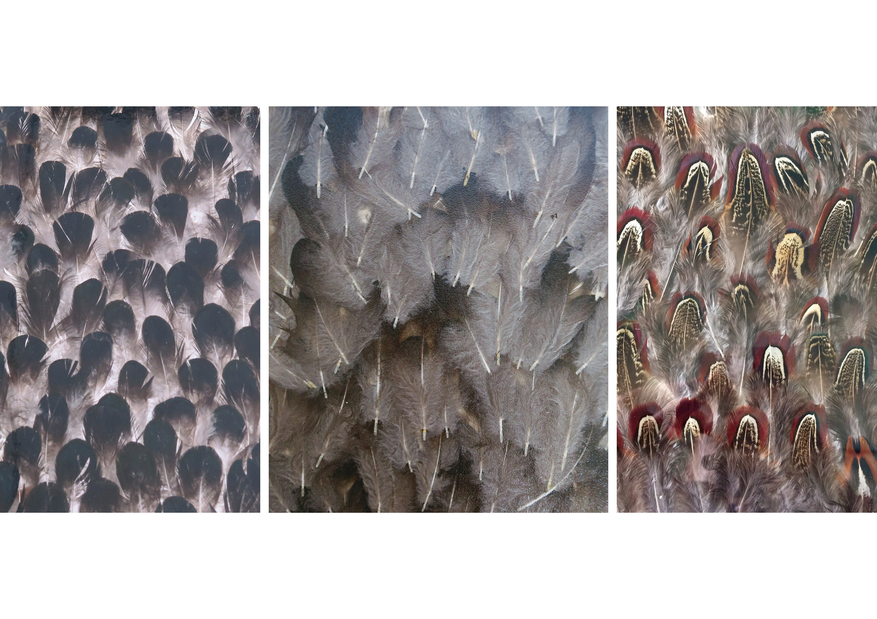 自由空间·2017 设计项目-13