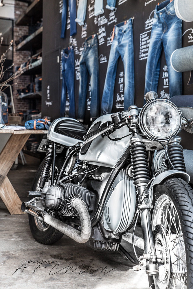 2014 年优质基因商店-4