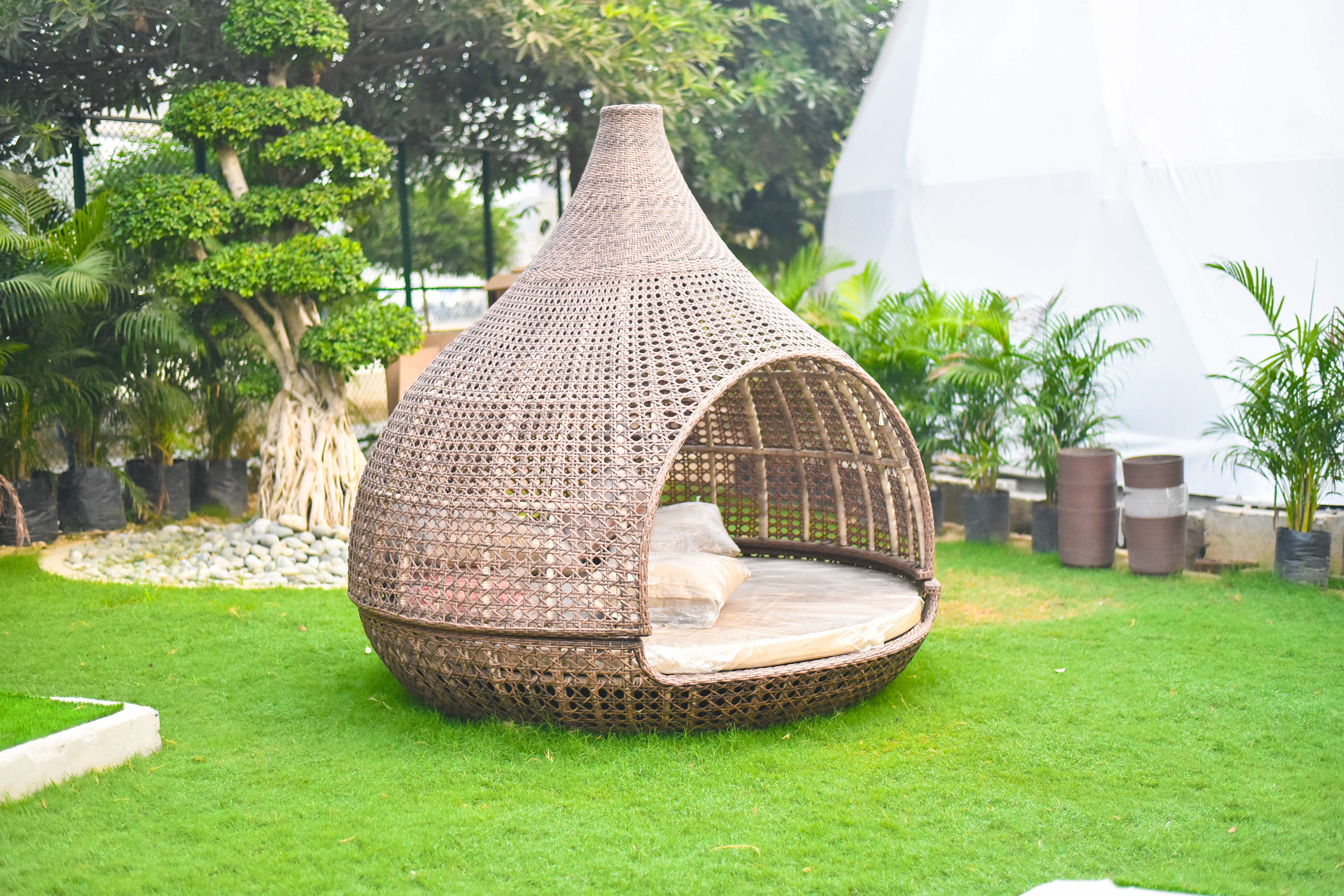 绿色氧吧 NG Studio-15