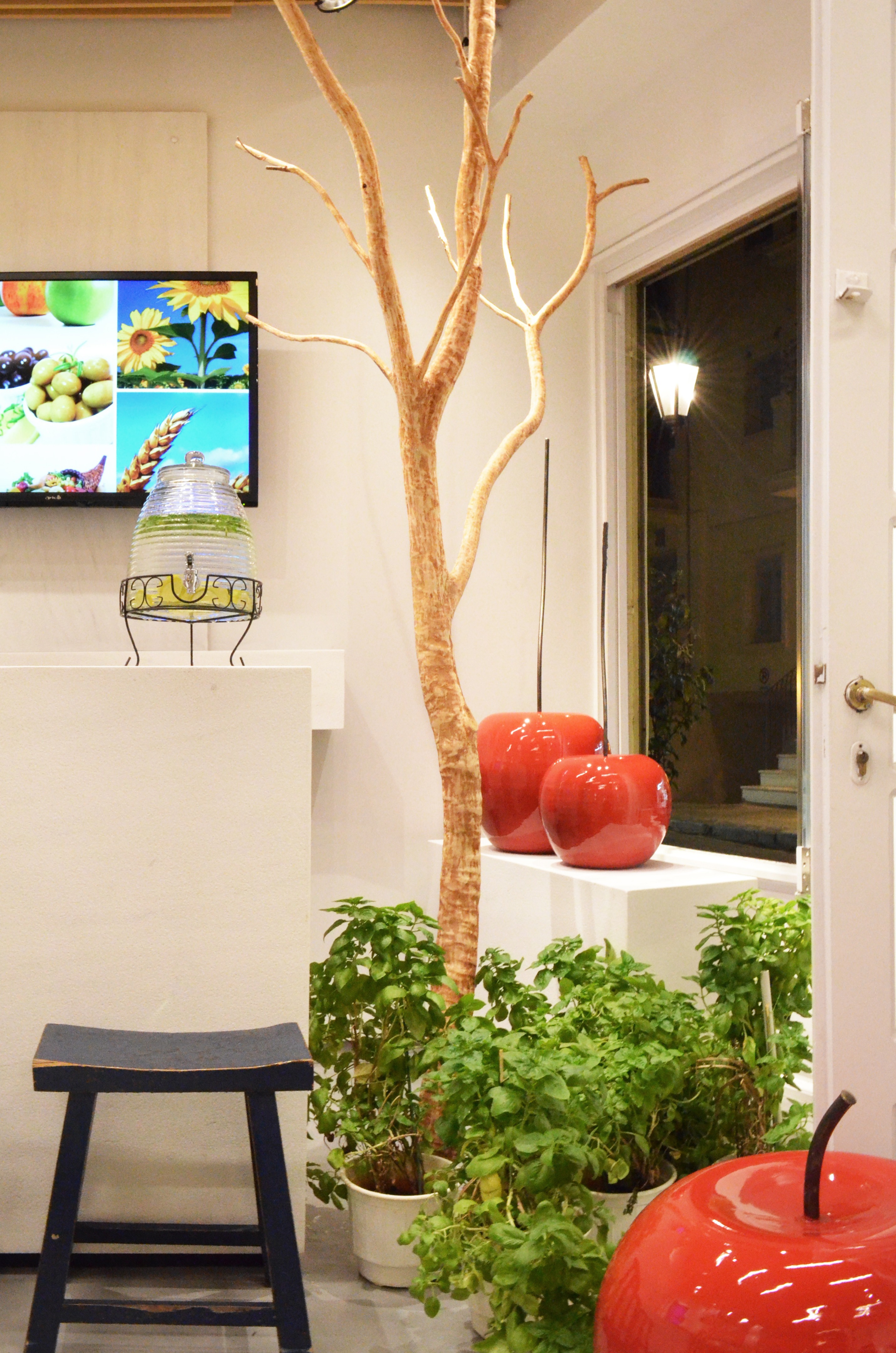 雅典 NOVAGEA 果汁吧 | 融入希腊传统与自然的现代空间-8