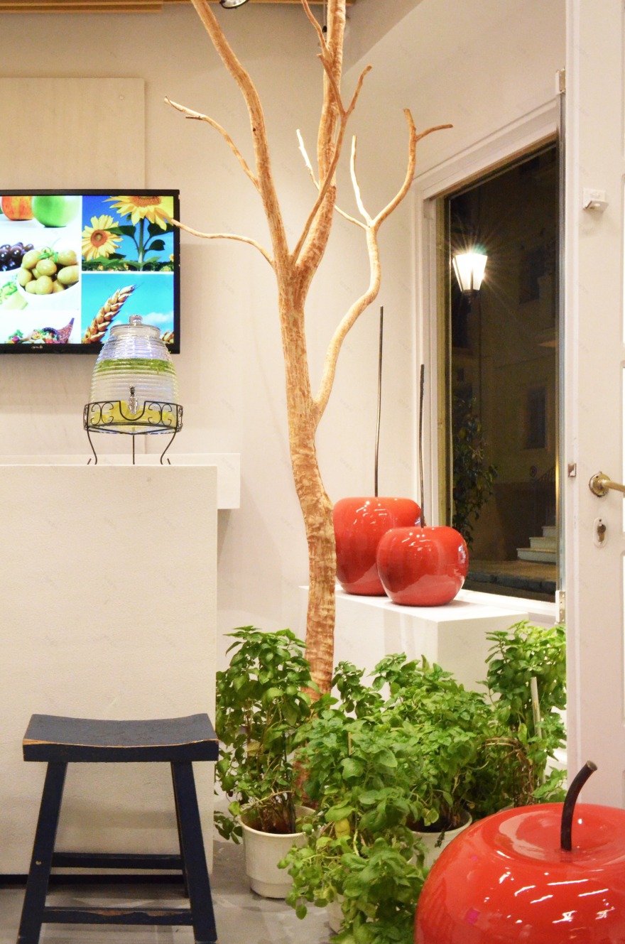 雅典 NOVAGEA 果汁吧 | 融入希腊传统与自然的现代空间-8