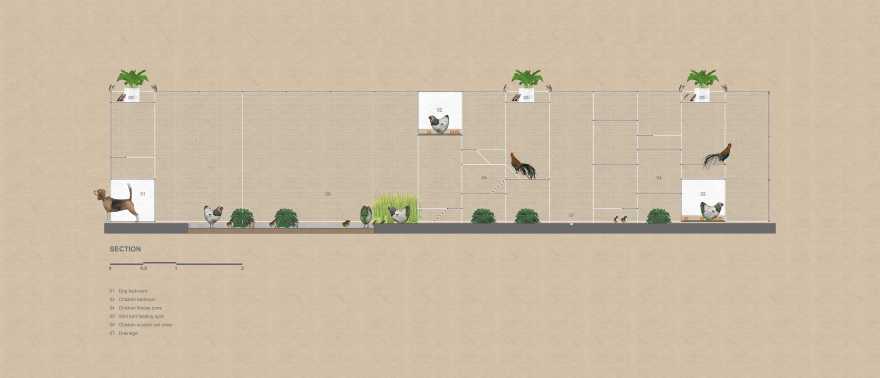 鸡舍建筑,儿童乐趣与自然的融合-26