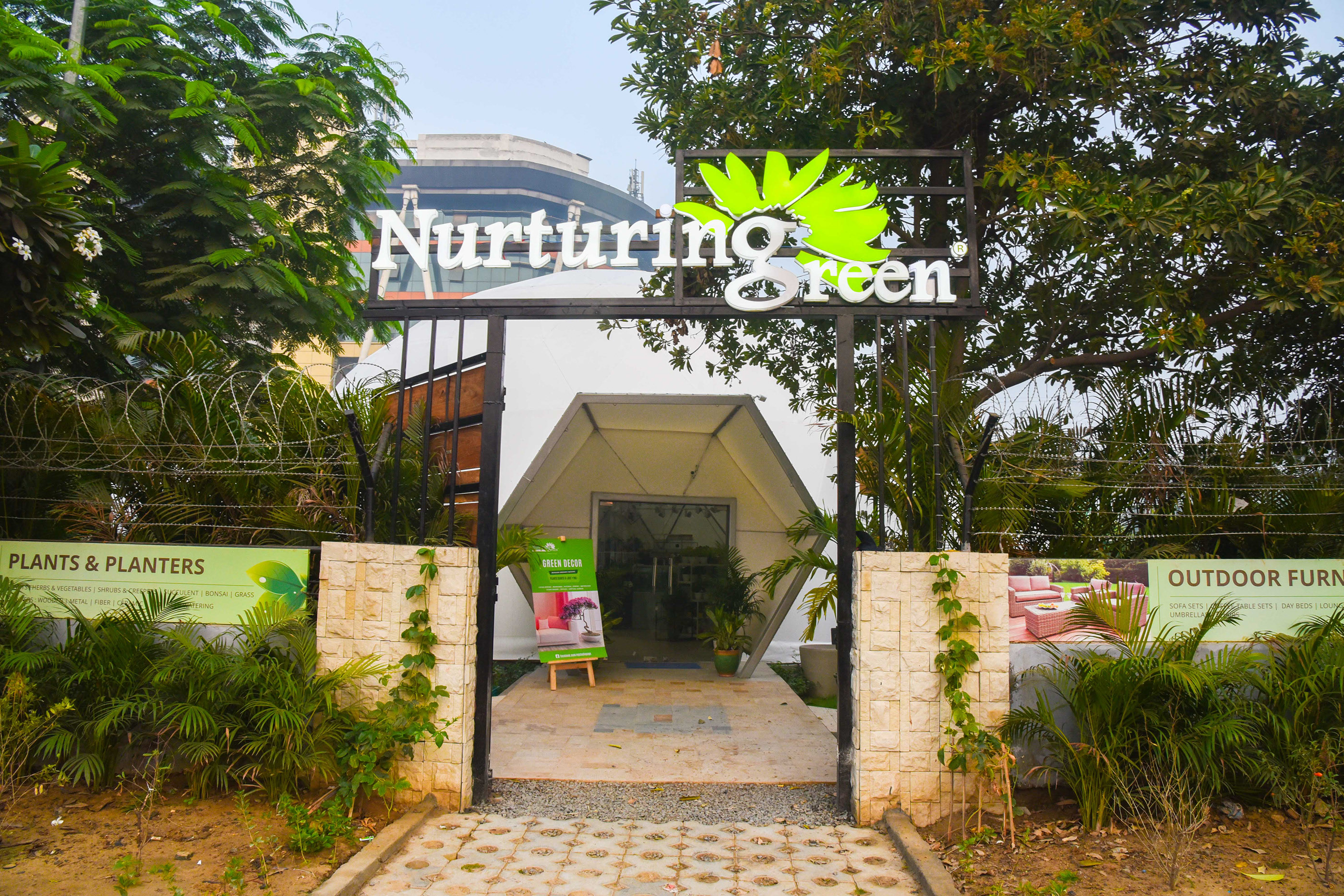 绿色氧吧 NG Studio-2