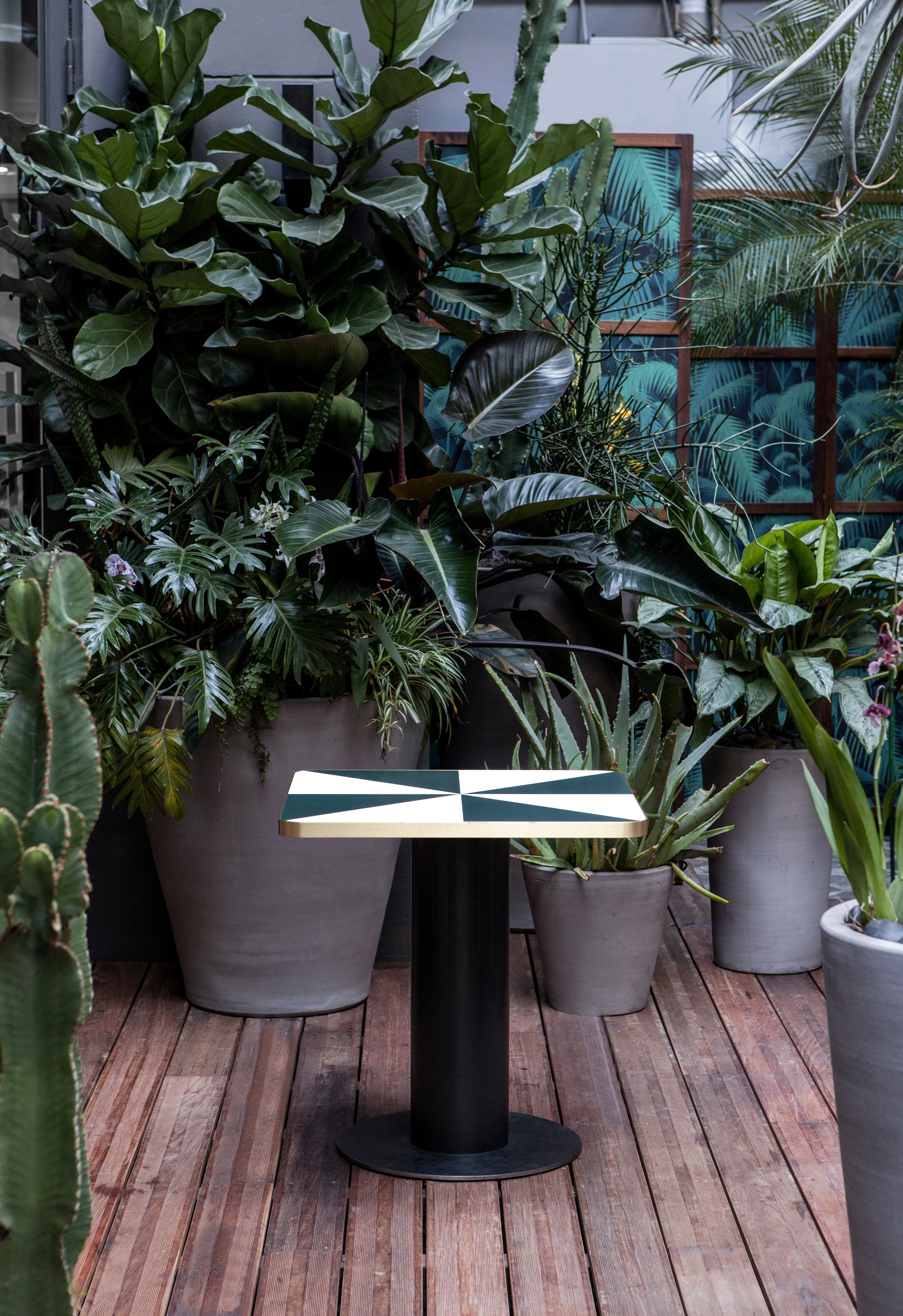 Klay Club 餐厅(Sinople)-4