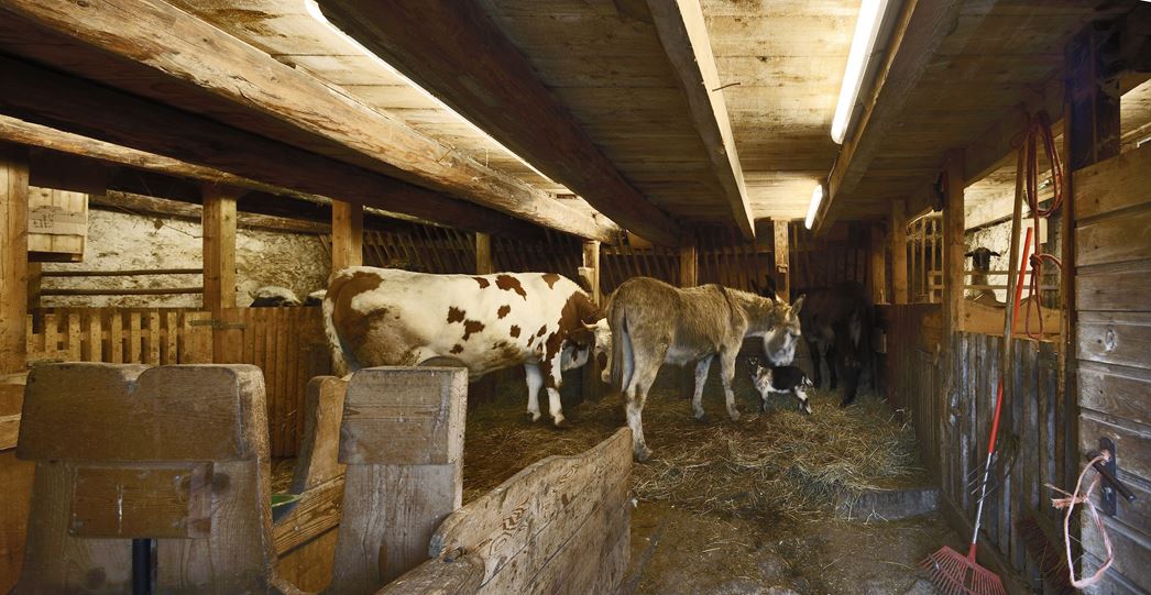 维兰德斯老农场现代扩建，新旧融合的典范-51