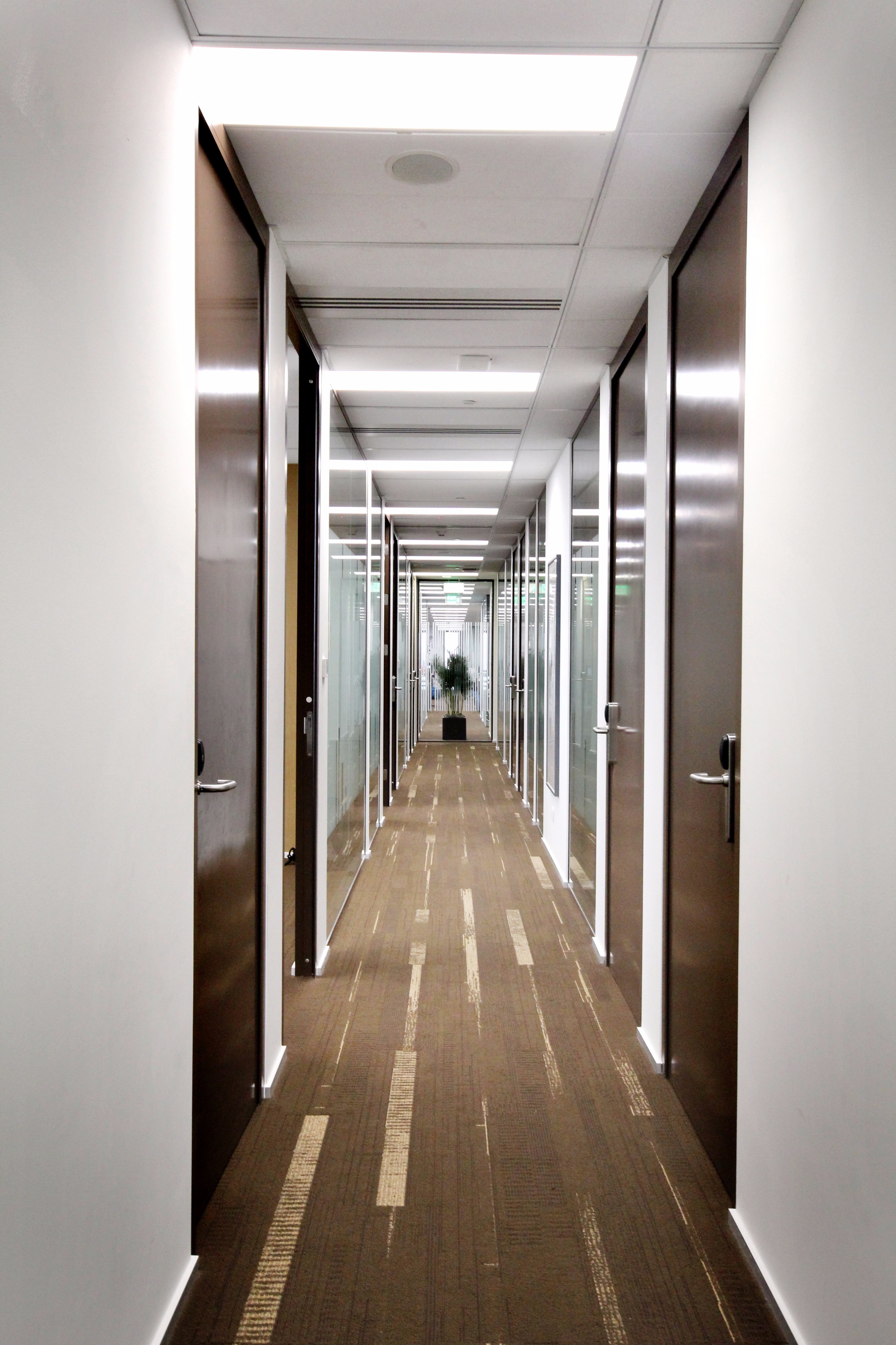 越南最大城市中心的灵动办公空间-21