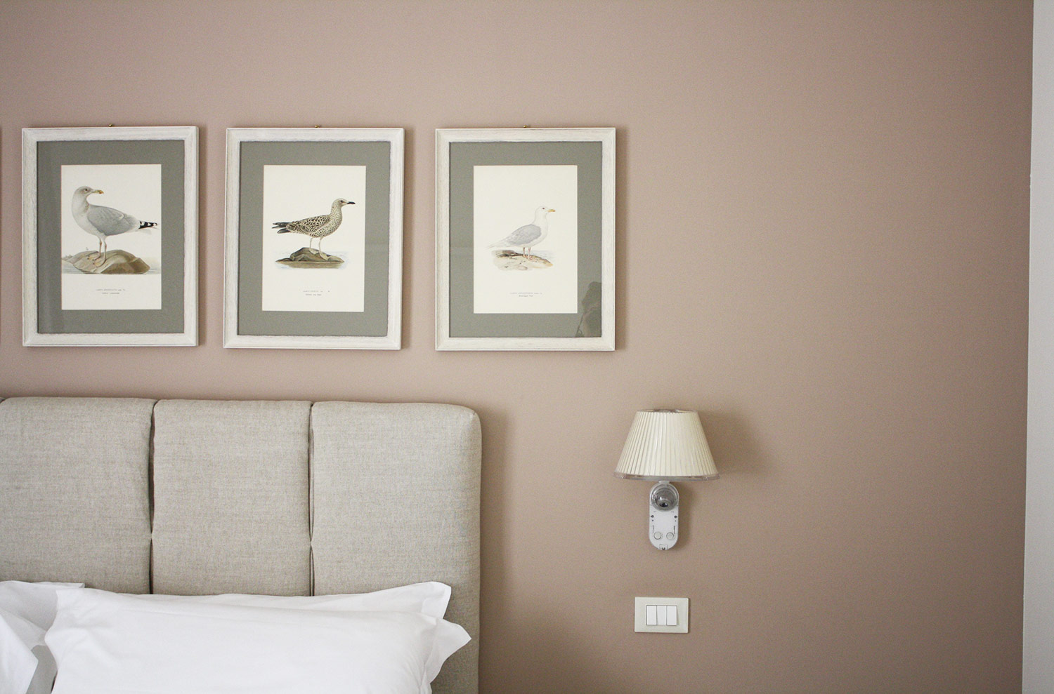 圣彼得宫殿酒店-22