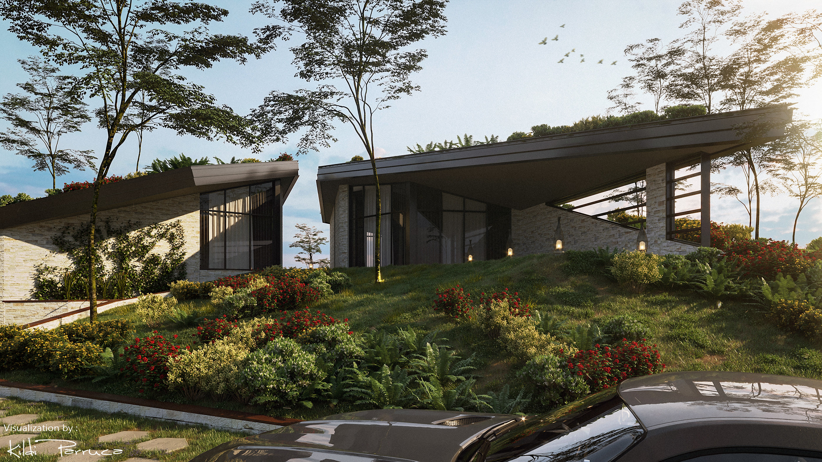 Arcadia Villas 绿色建筑设计-2