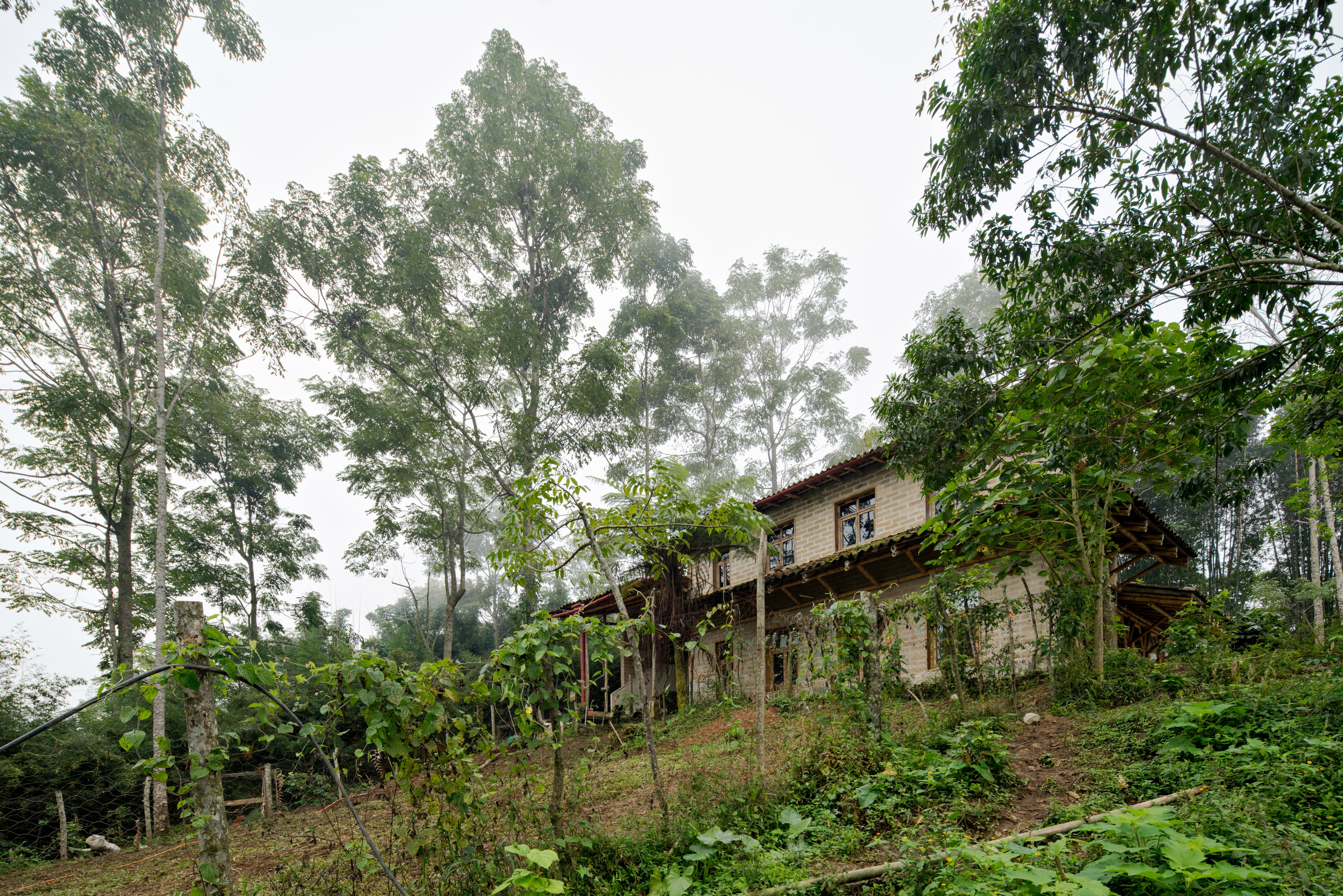 蒙特梭利·托塞潘双语学校-11