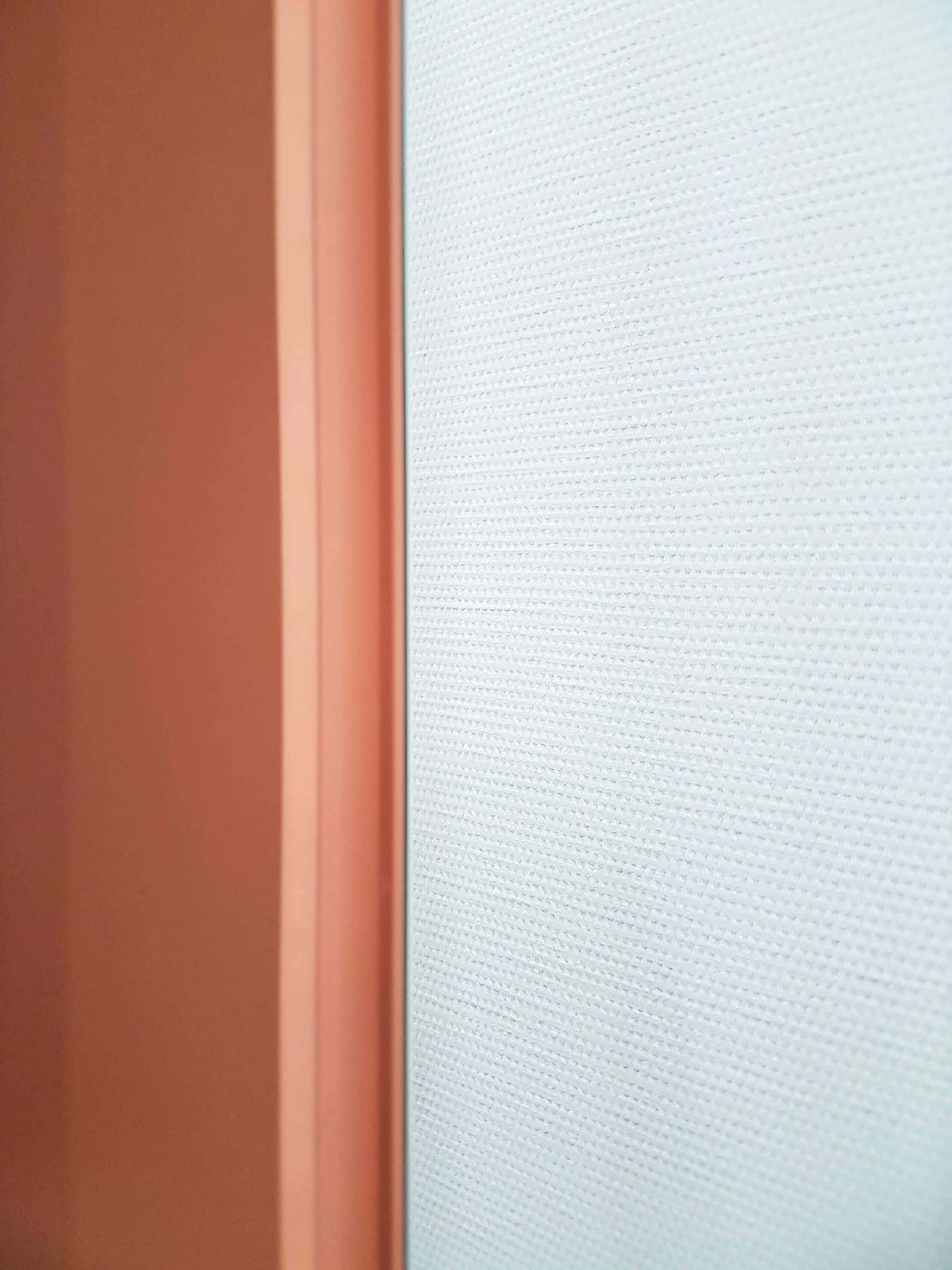 律政俏佳人的梦幻工作室-19