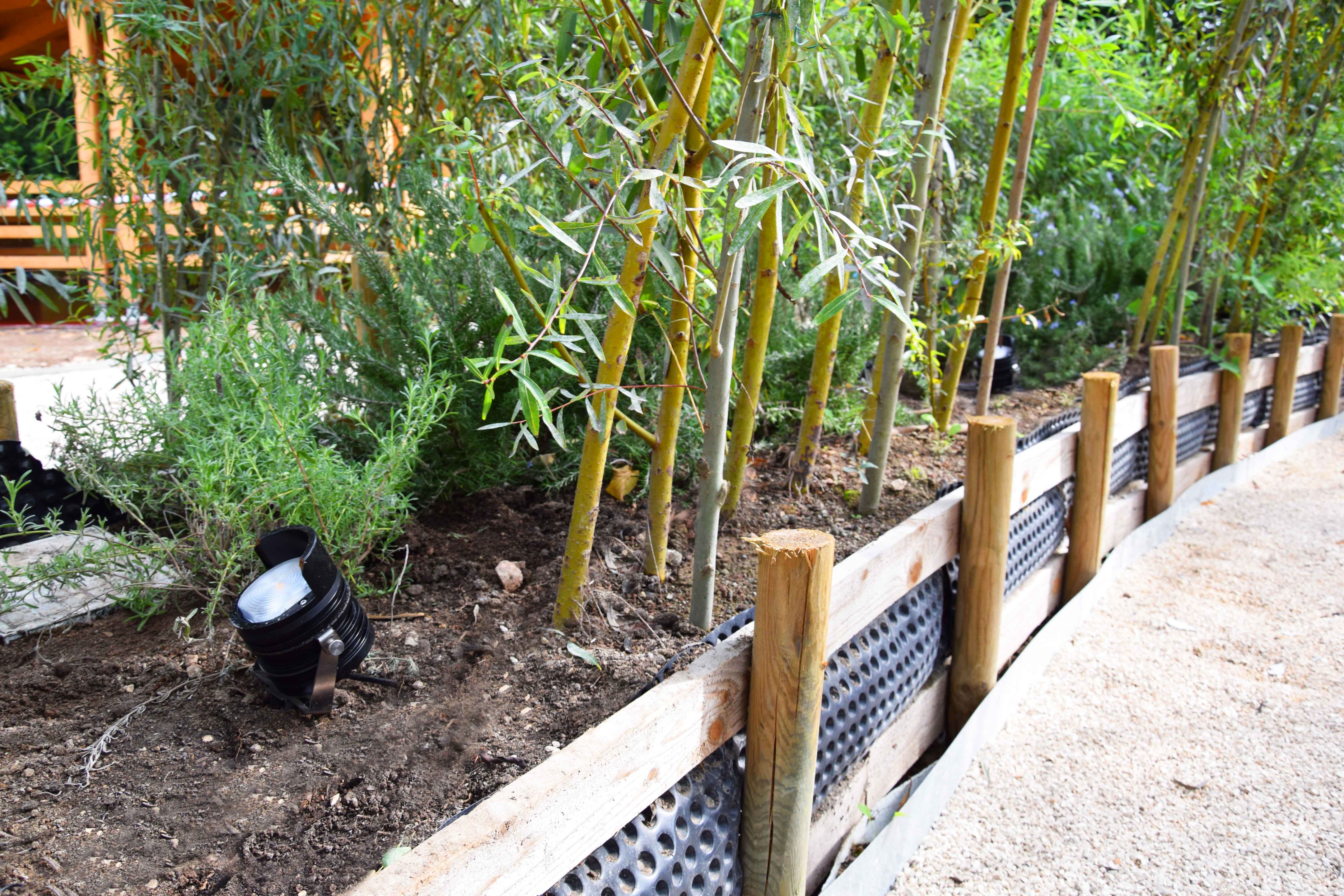 梦幻乐园灯光设计，打造光影盛宴-5