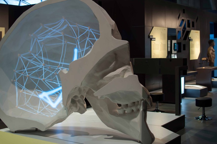 Talking Brains 展览设计-44