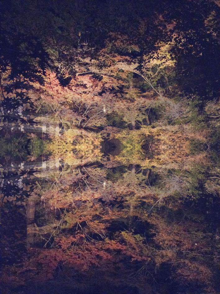 禅意京都 | Ori Gersht 的“浮生世界”摄影展-13