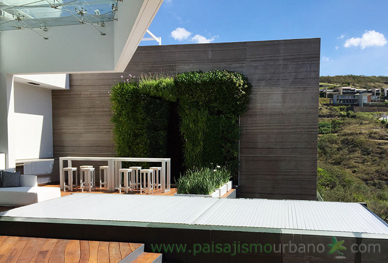 墨西哥绿意盎然的家庭住宅-31