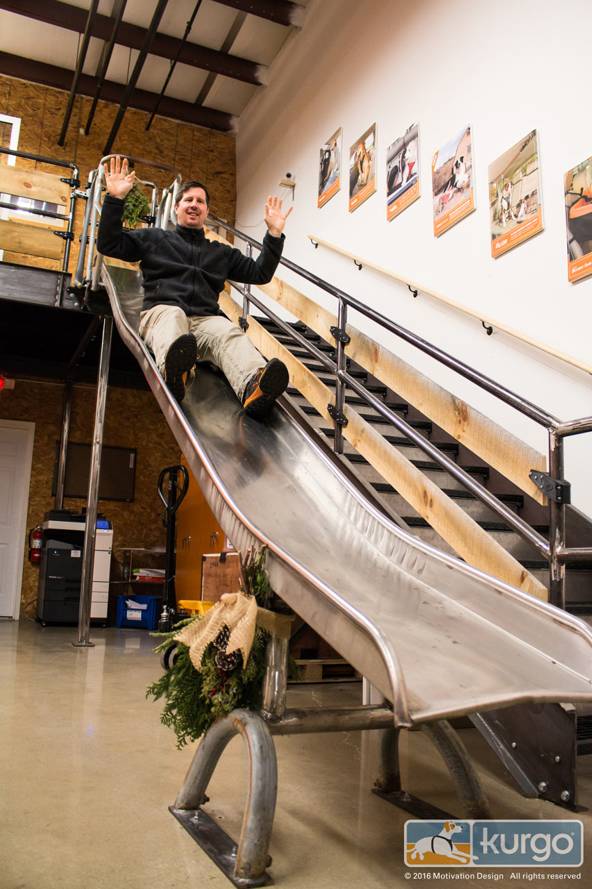 狗友好型办公室设计，趣味无穷-7