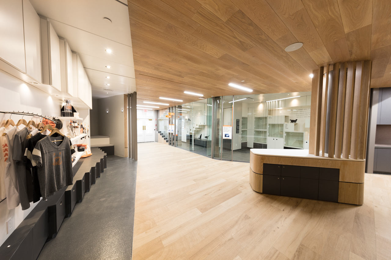 爱心港湾 | 最佳朋友动物协会新收养中心-12