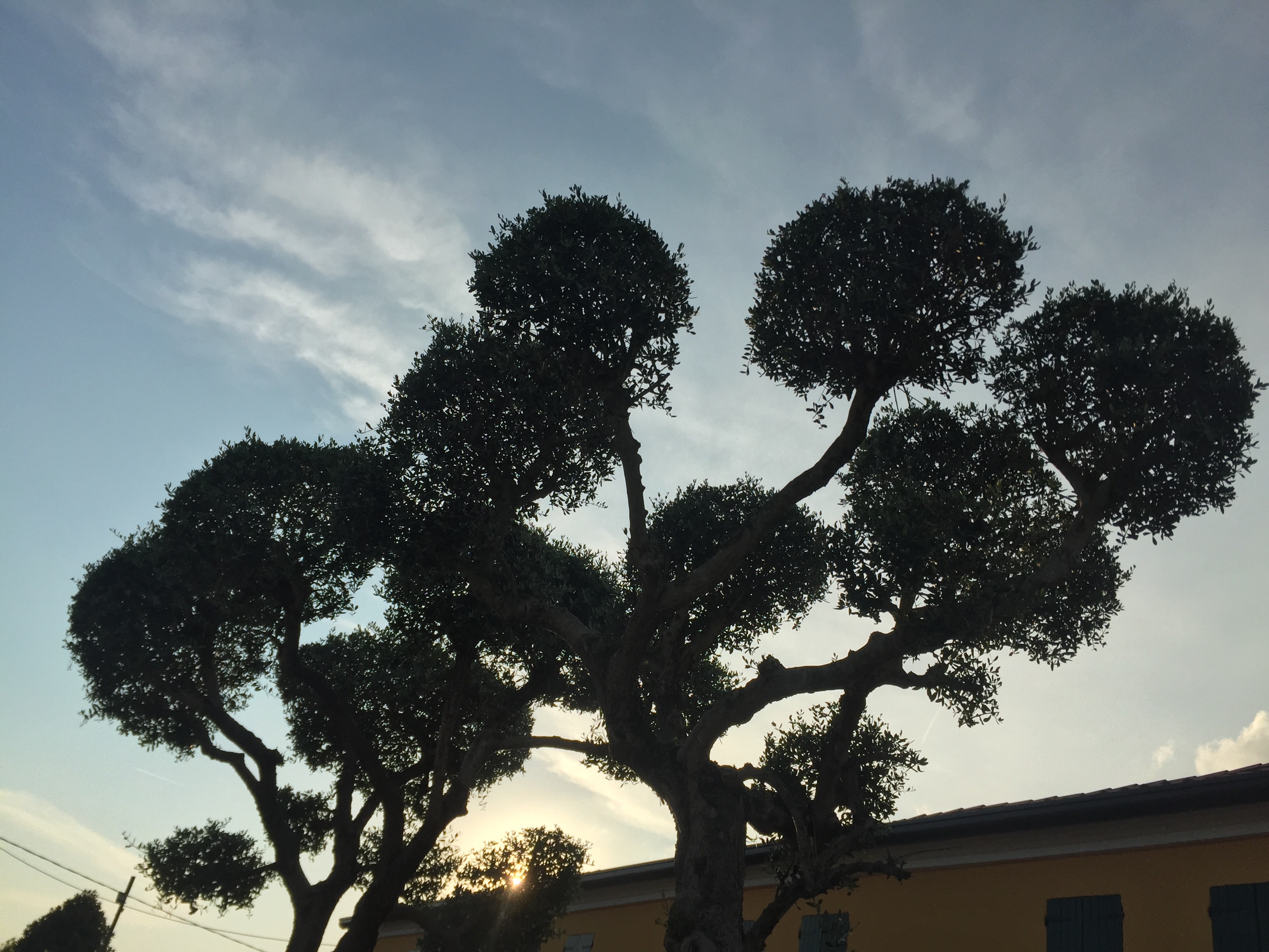 复古与现代的完美结合——意大利 Trattoria Da Giulia 餐厅设计-17