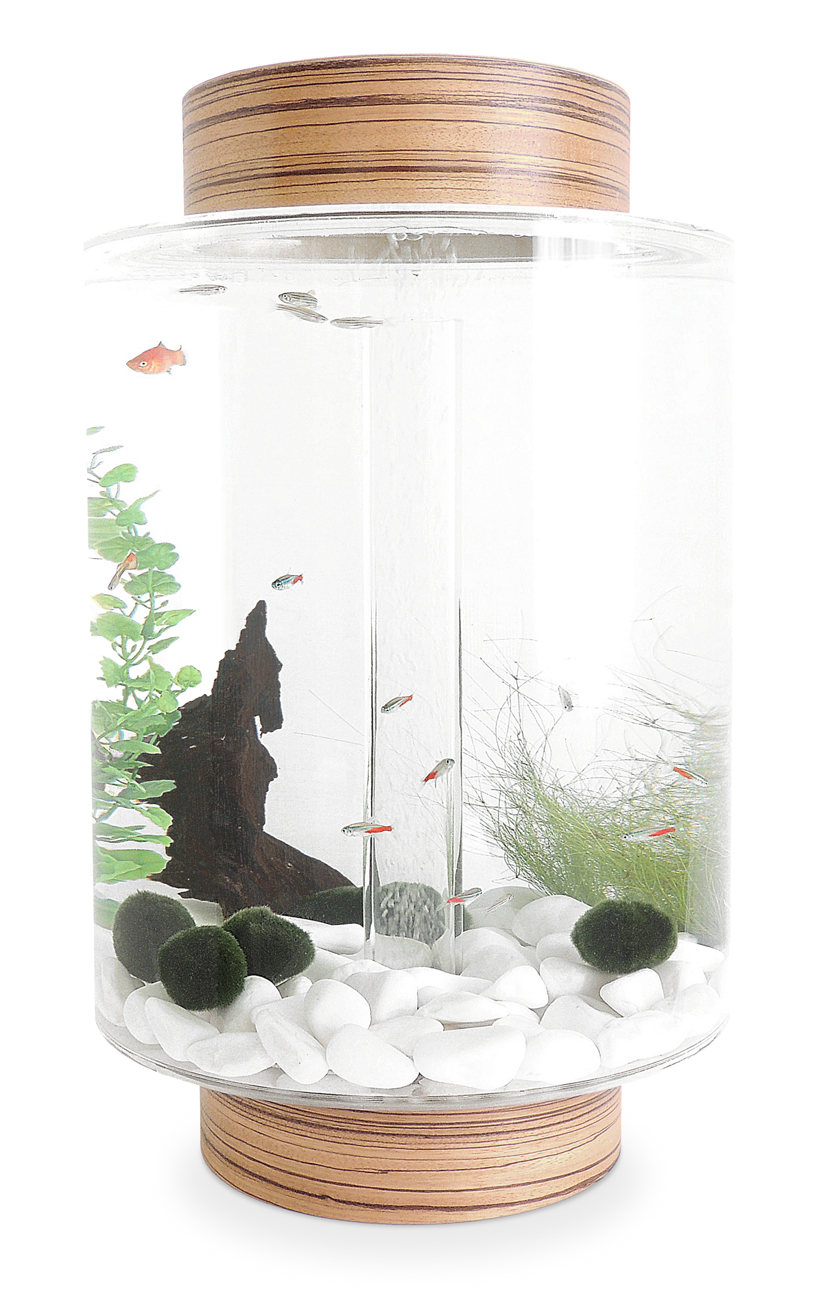 极简北欧风家居水族馆设计-2