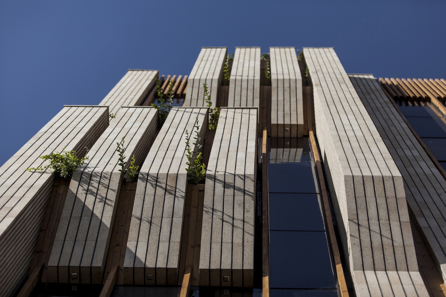 伊朗 isfahan 砖木建筑 | 绿意盎然的环境和谐设计-43