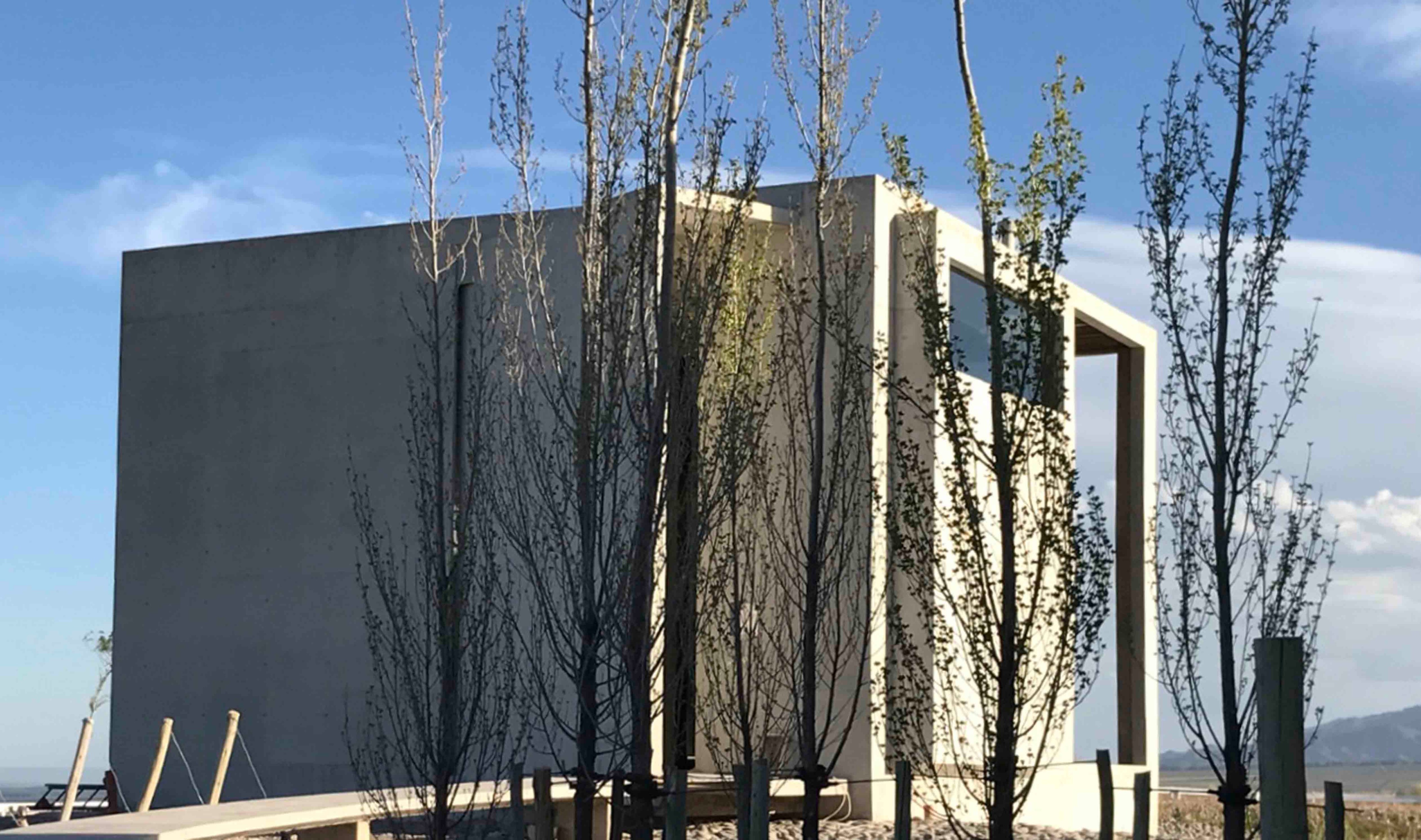 高山葡萄园里的绿色环保别墅-16