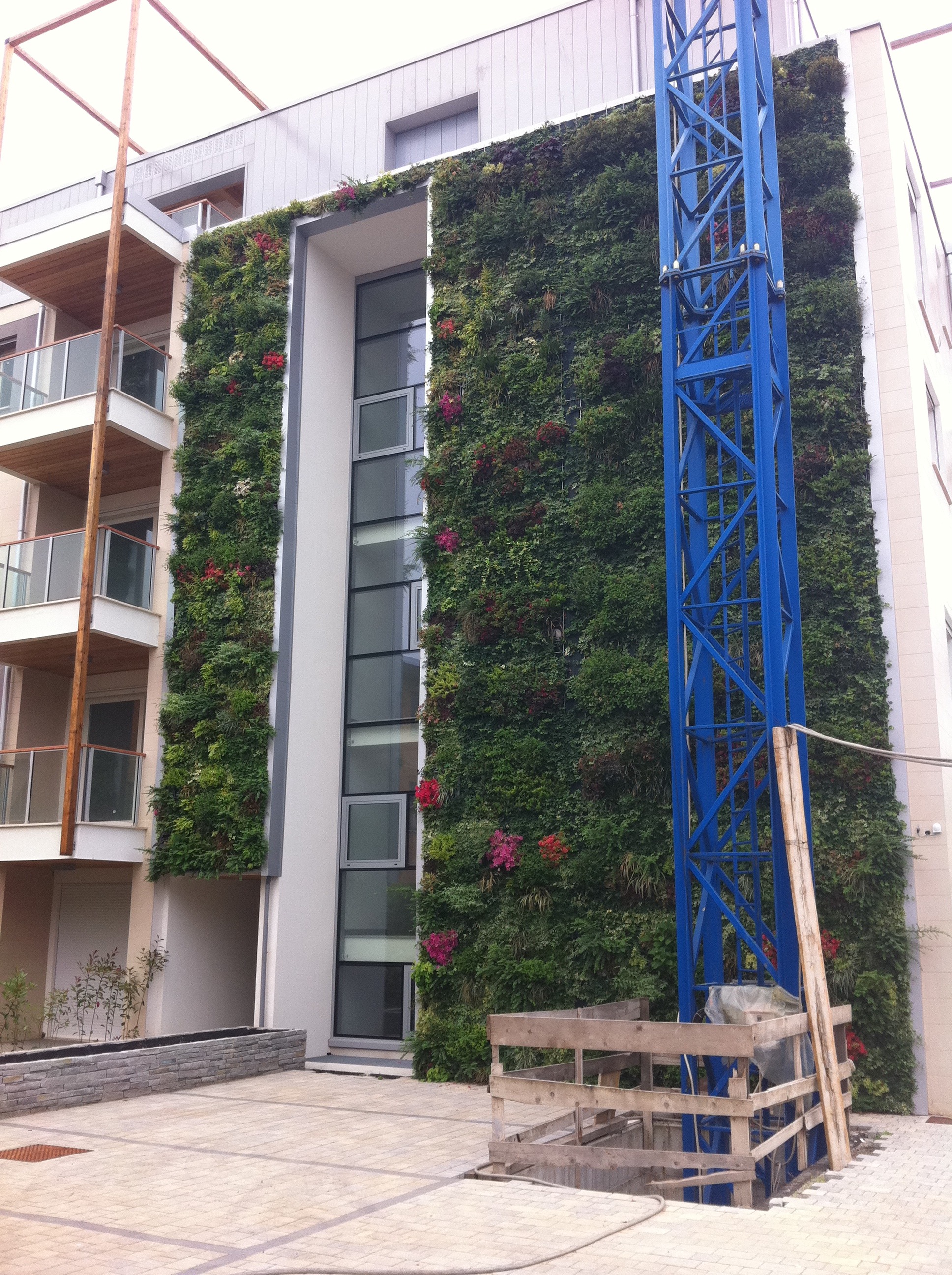 绿色公寓 · 模块化垂直绿化墙-15