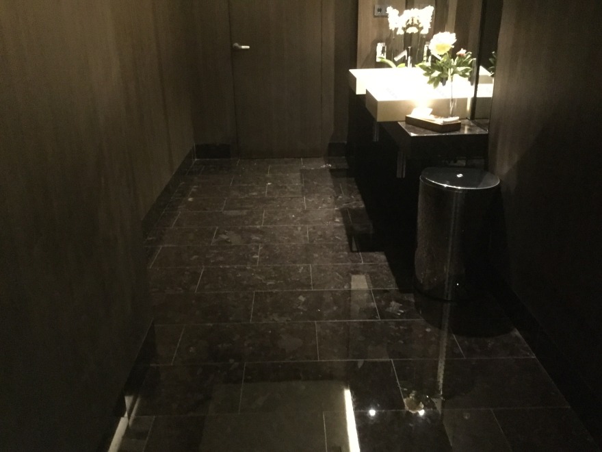 华盛顿欧文酒店-33