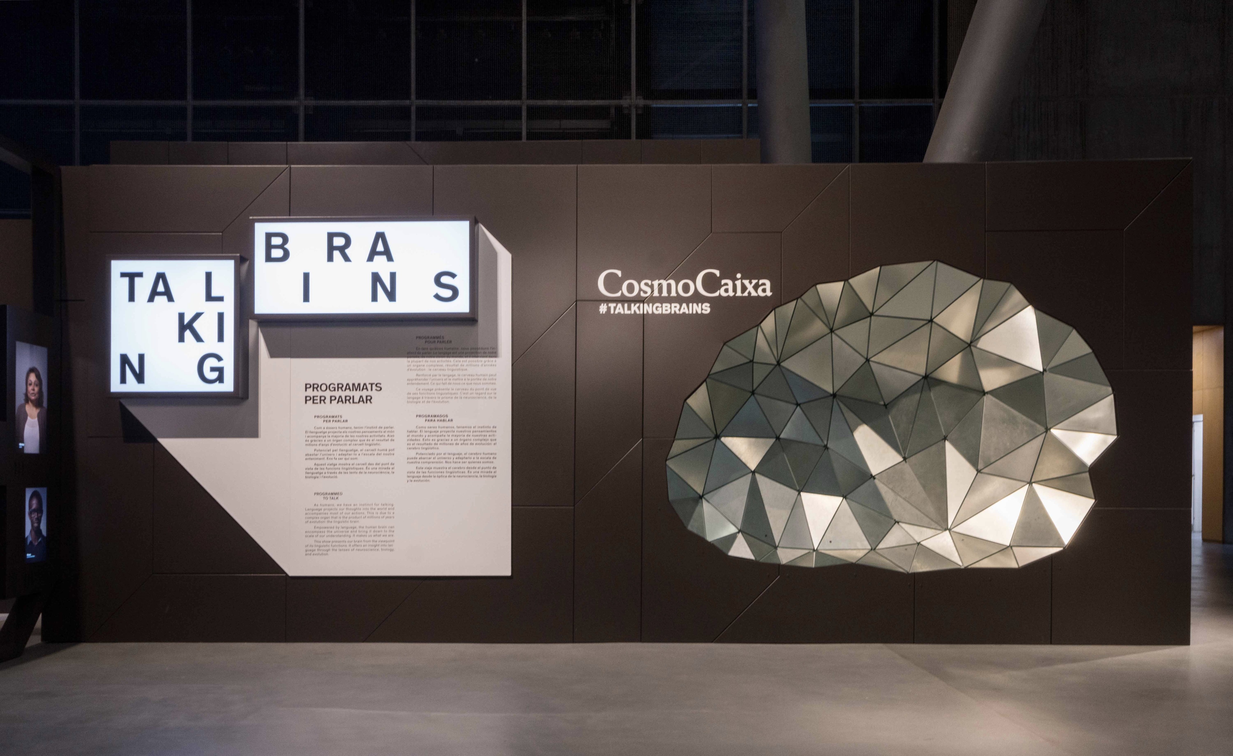 Talking Brains 展览设计-3