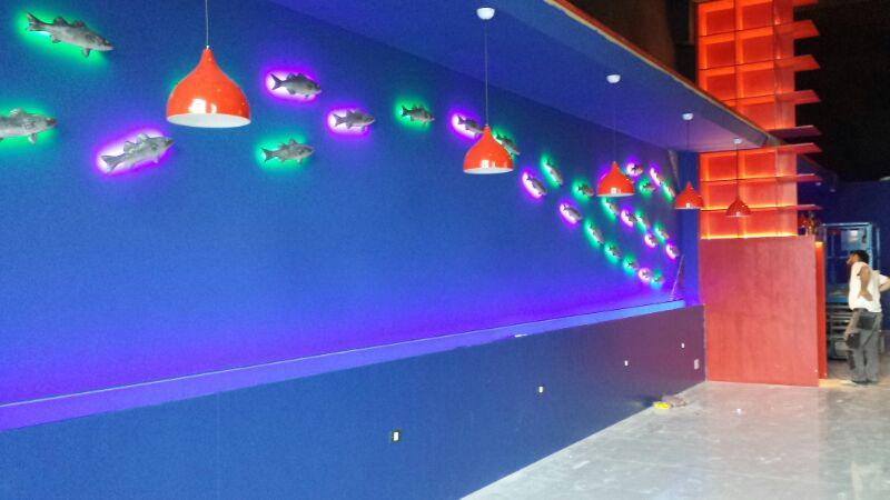 2014 年完成的 LED 照明设计餐厅案例-13