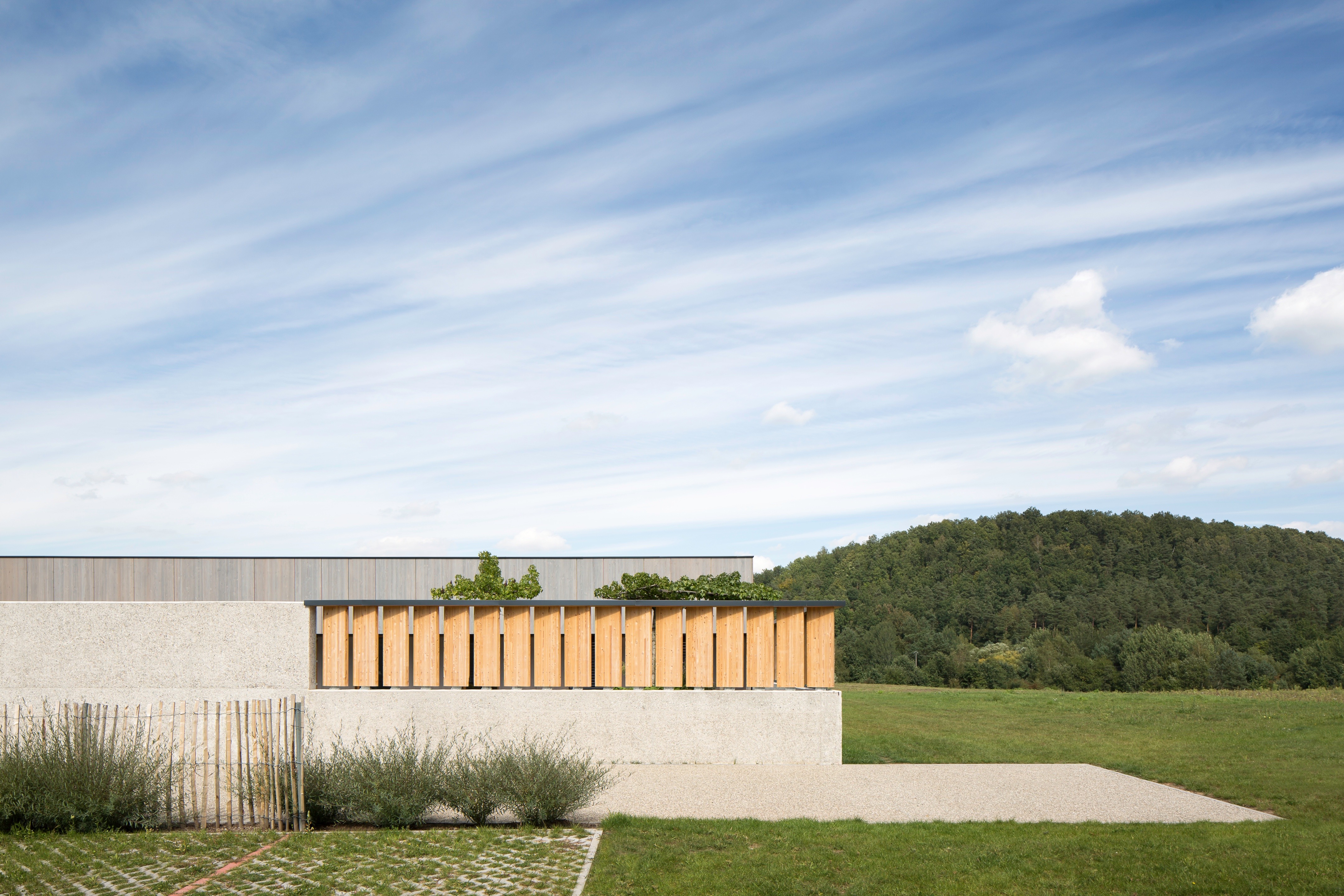 Bitche 幼儿园——城市生态新区的儿童之家-9