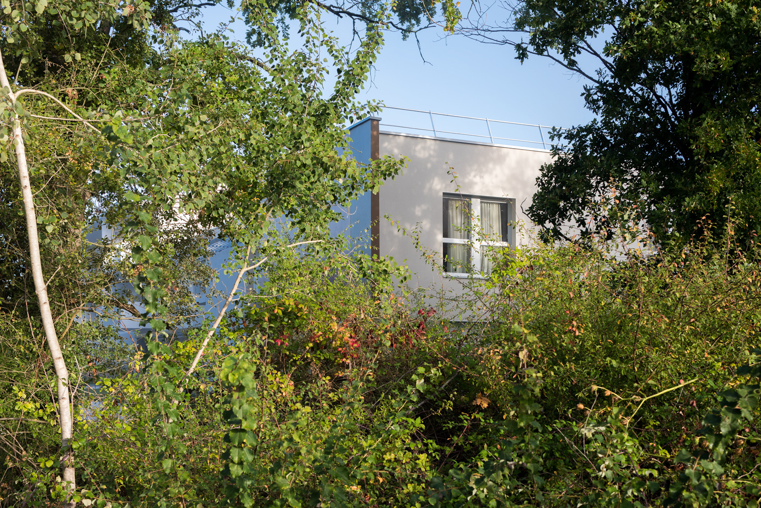 养老医疗中心 Barail | 关爱老年人的温馨家园-23