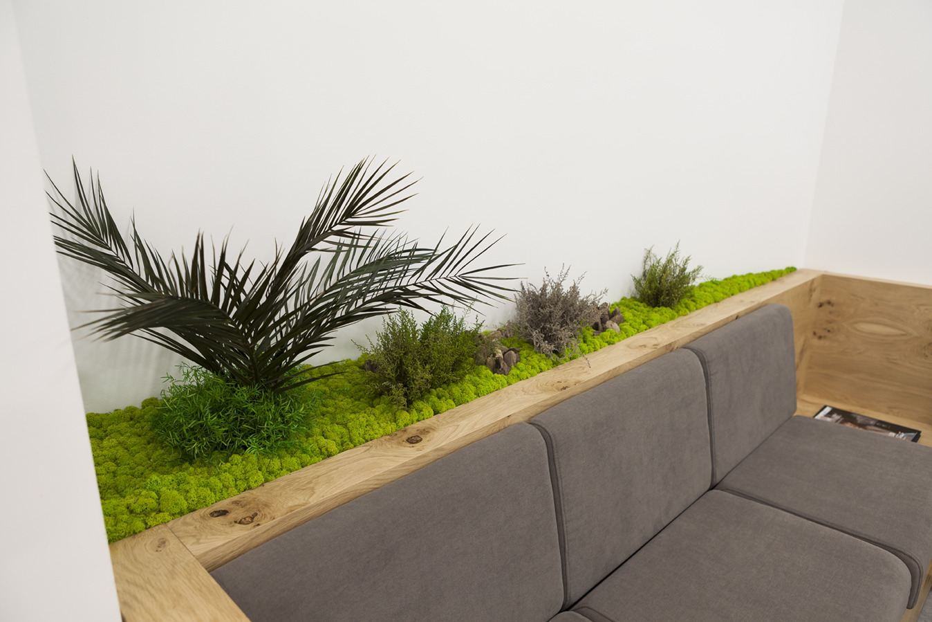 绿色苔藓装点光学商店-11