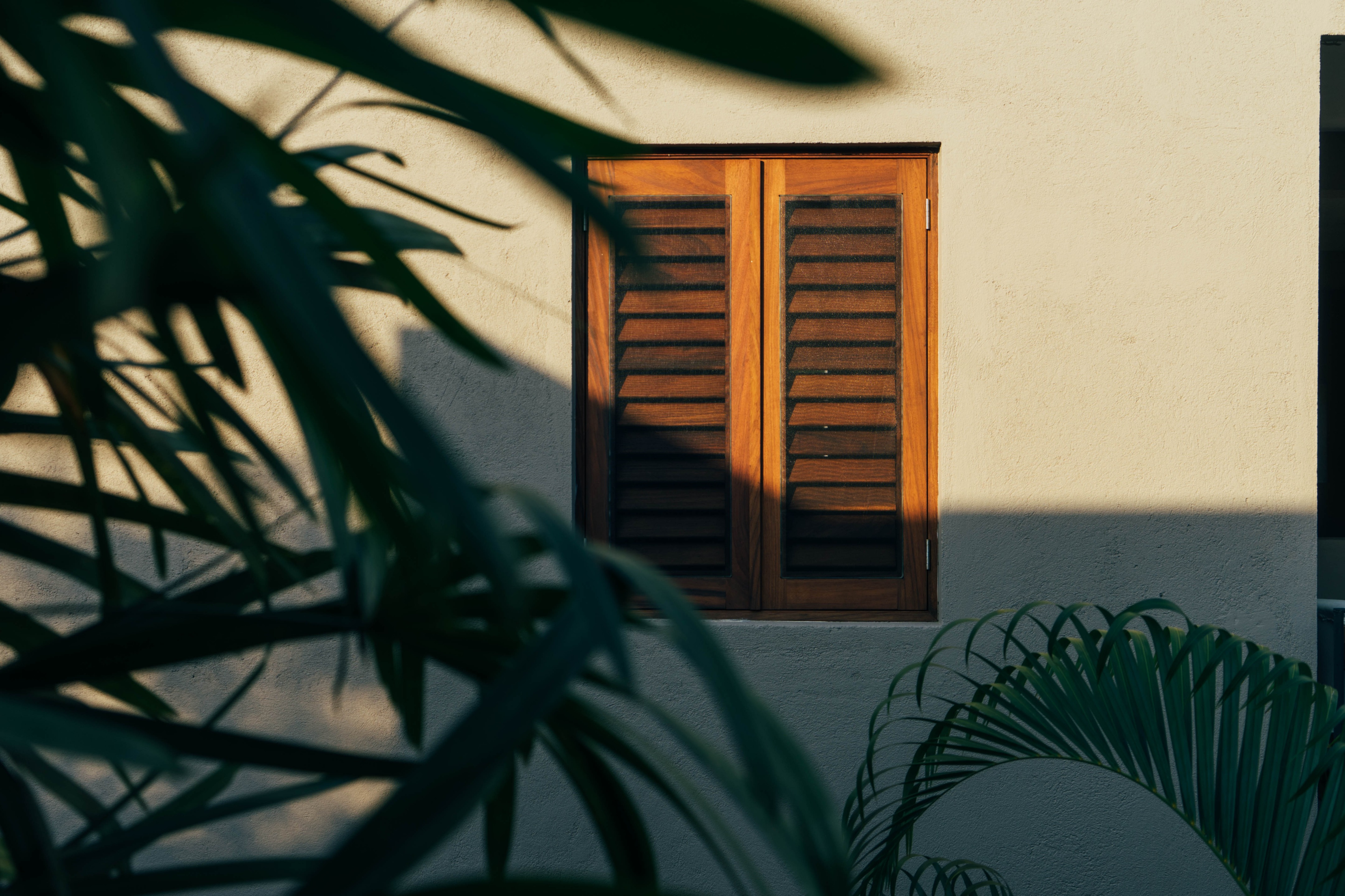 洛塞雷诺海滩之家（特龙科内斯，墨西哥）-19