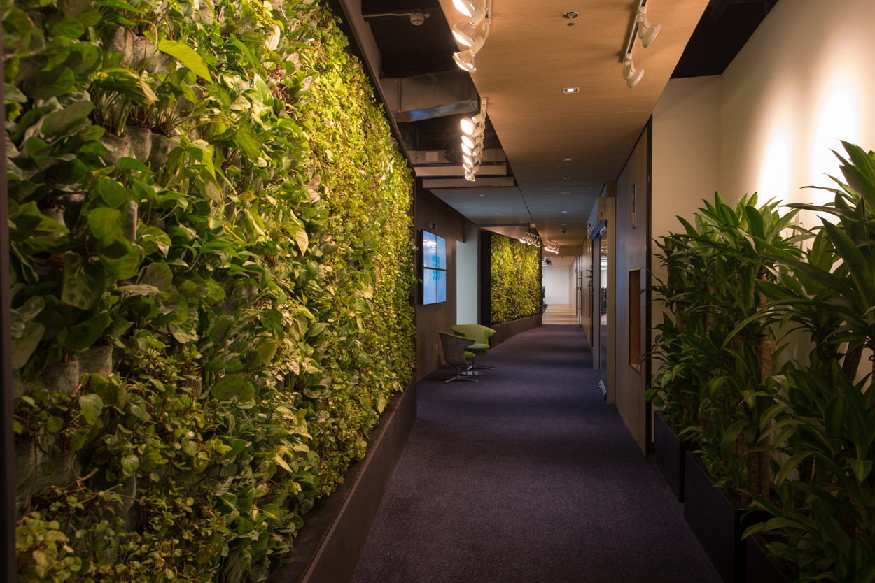 阿克斯亚·克雷塔罗后台办公室-11