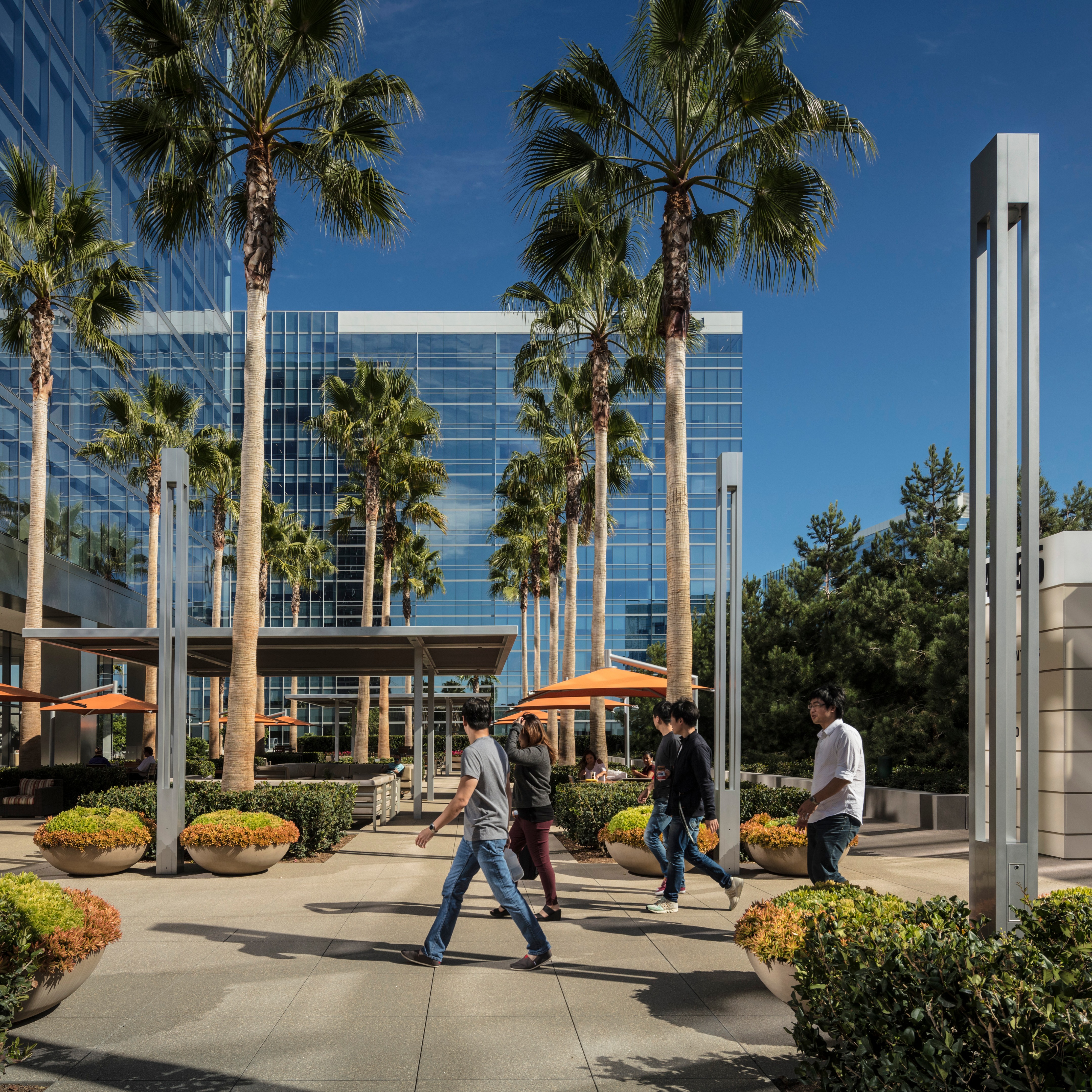 拉霍亚中心一号-6