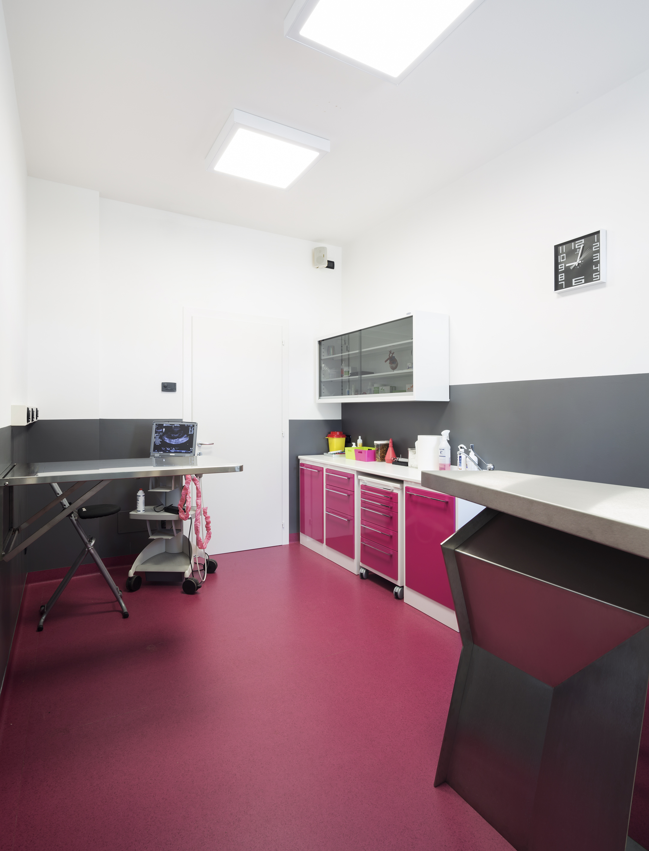 意大利兽医诊所翻新诠释简约美学-4