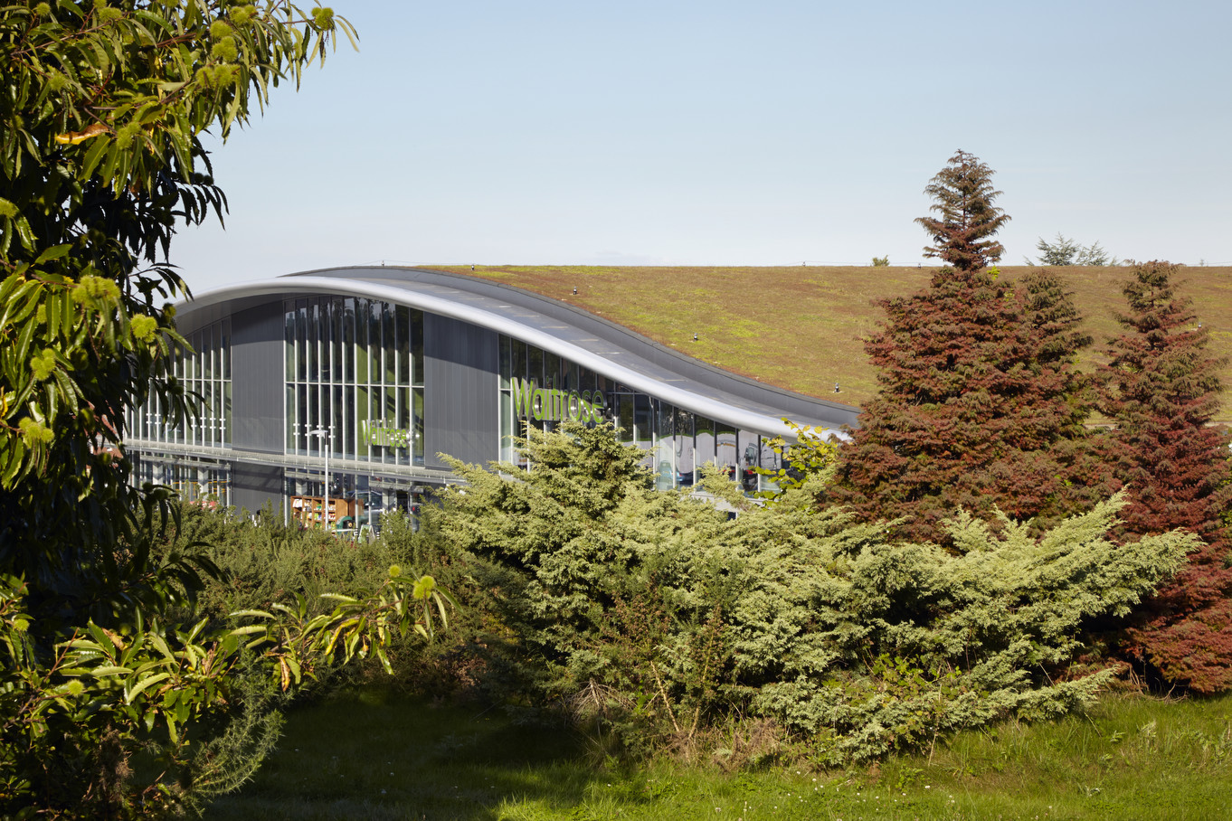 Waitrose Bagshot 绿色环保商业建筑设计-3