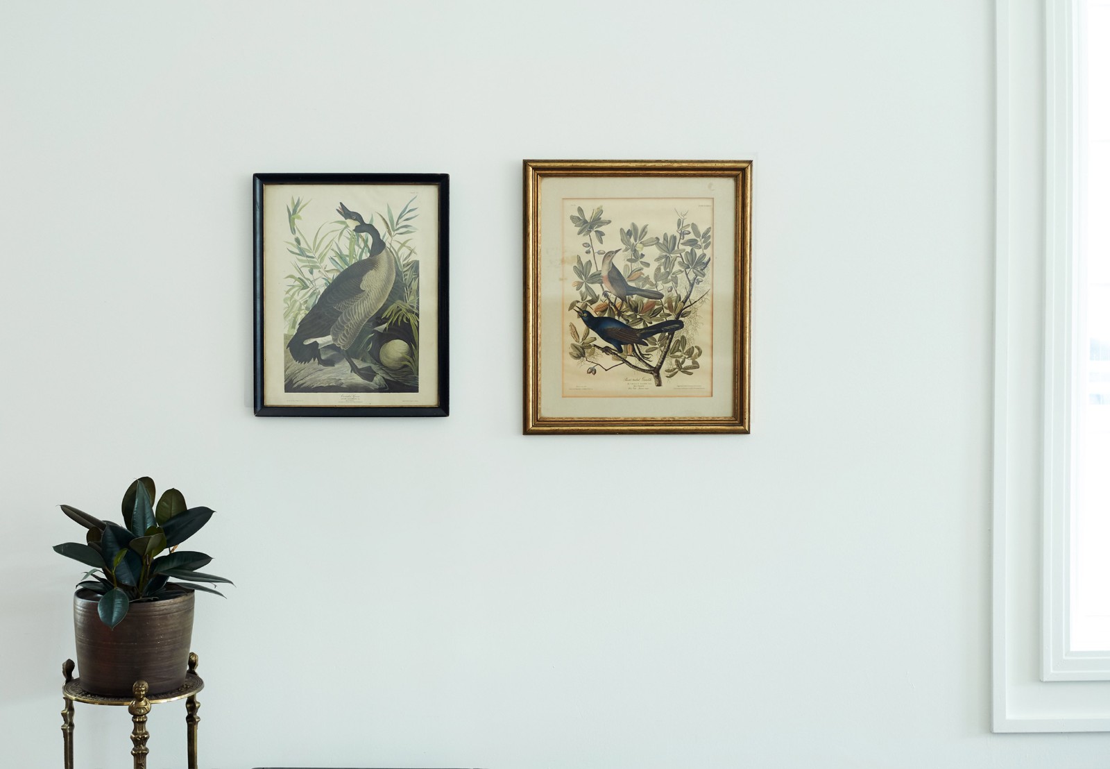 匹兹堡“美容店”历史建筑改造-3