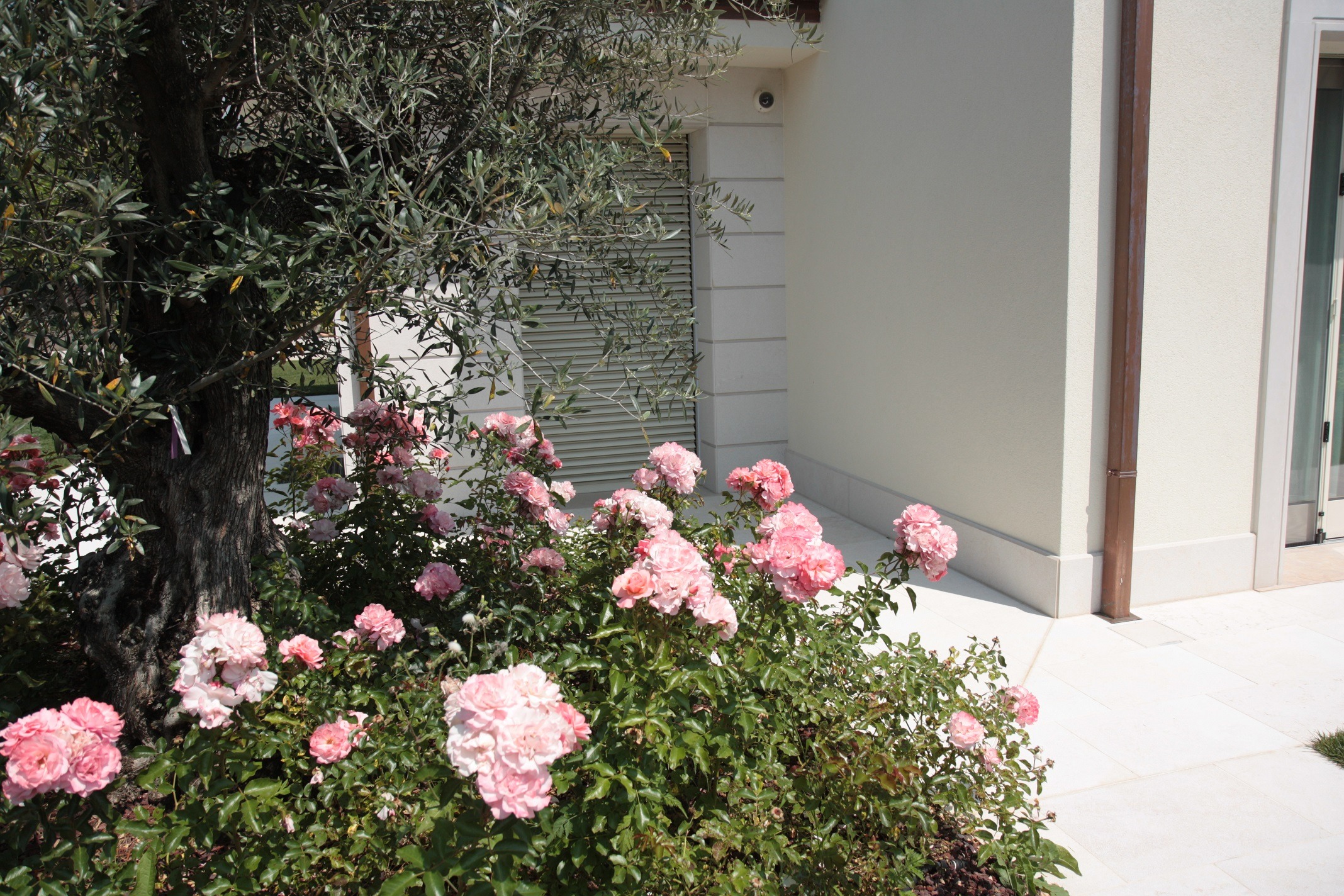 意式乡村别墅的现代焕新 | 舒适与环保的完美结合-9