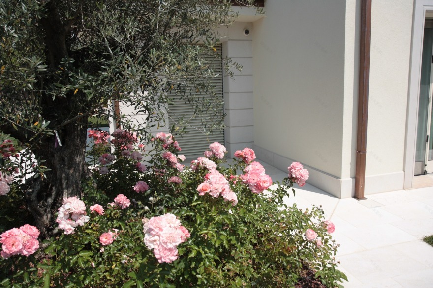 意式乡村别墅的现代焕新 | 舒适与环保的完美结合-9