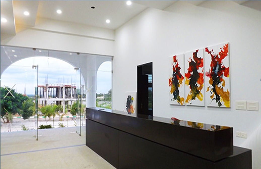 2014 年完成的 QVC Realty 俱乐部抽象流体画设计-9