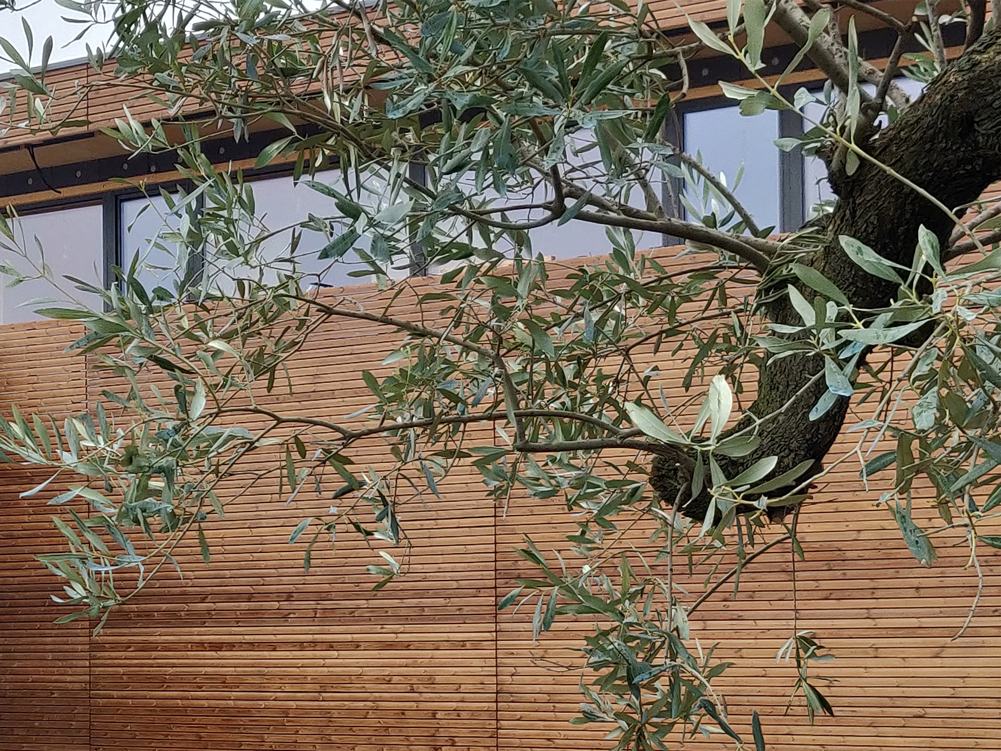 2019 年完成的被动式木结构别墅-22