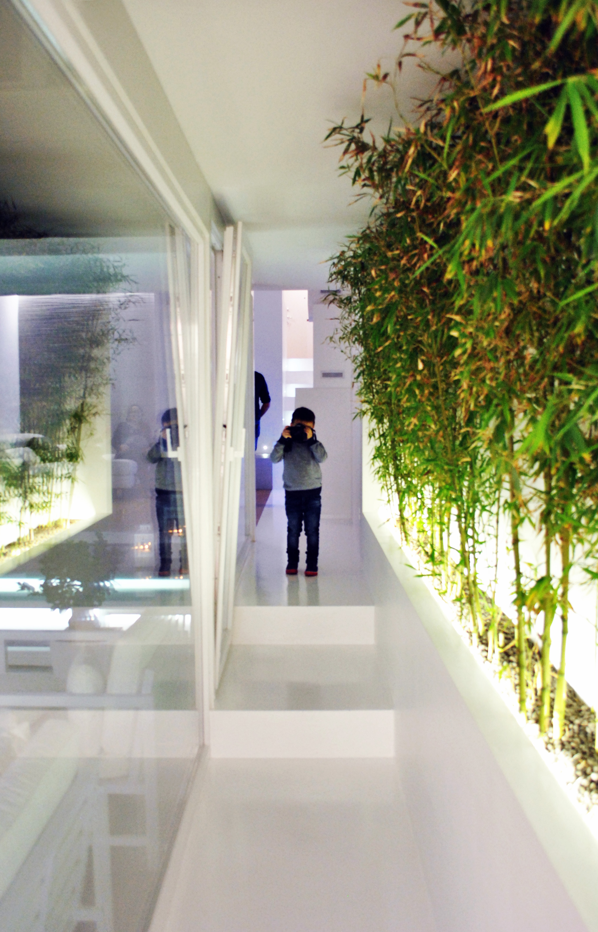 2017 年完工的帕尔默别墅，现代风格的家庭住宅-7