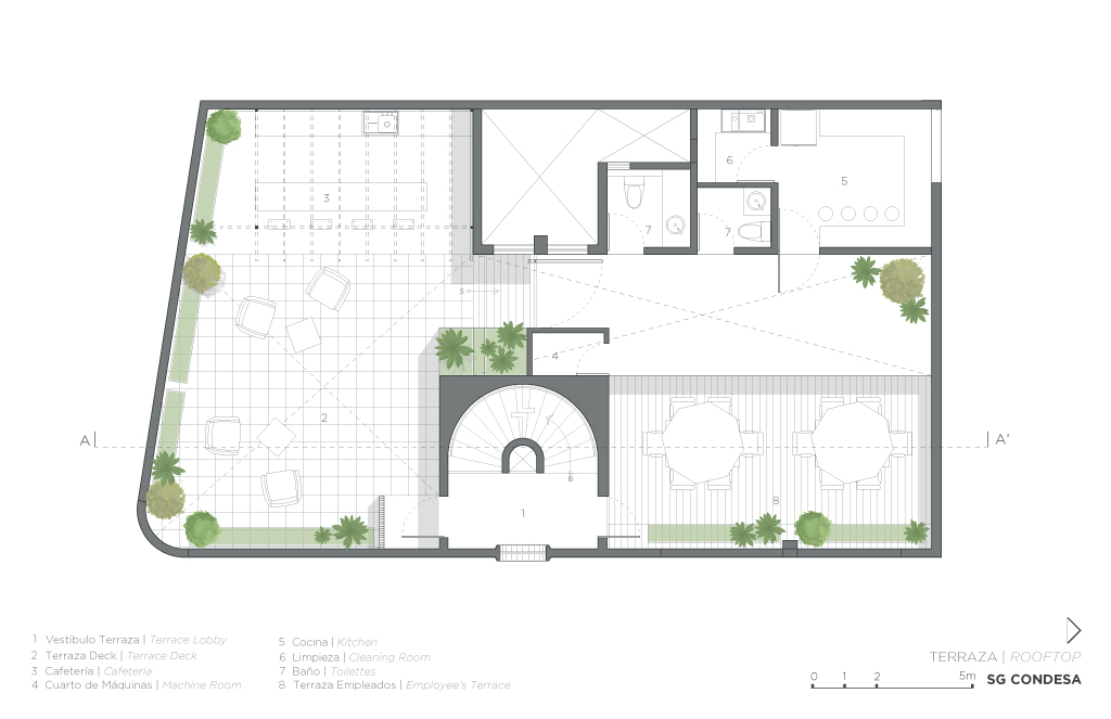 墨西哥城 Silvia Galván 康德萨美容院,历史与现代的完美融合-23